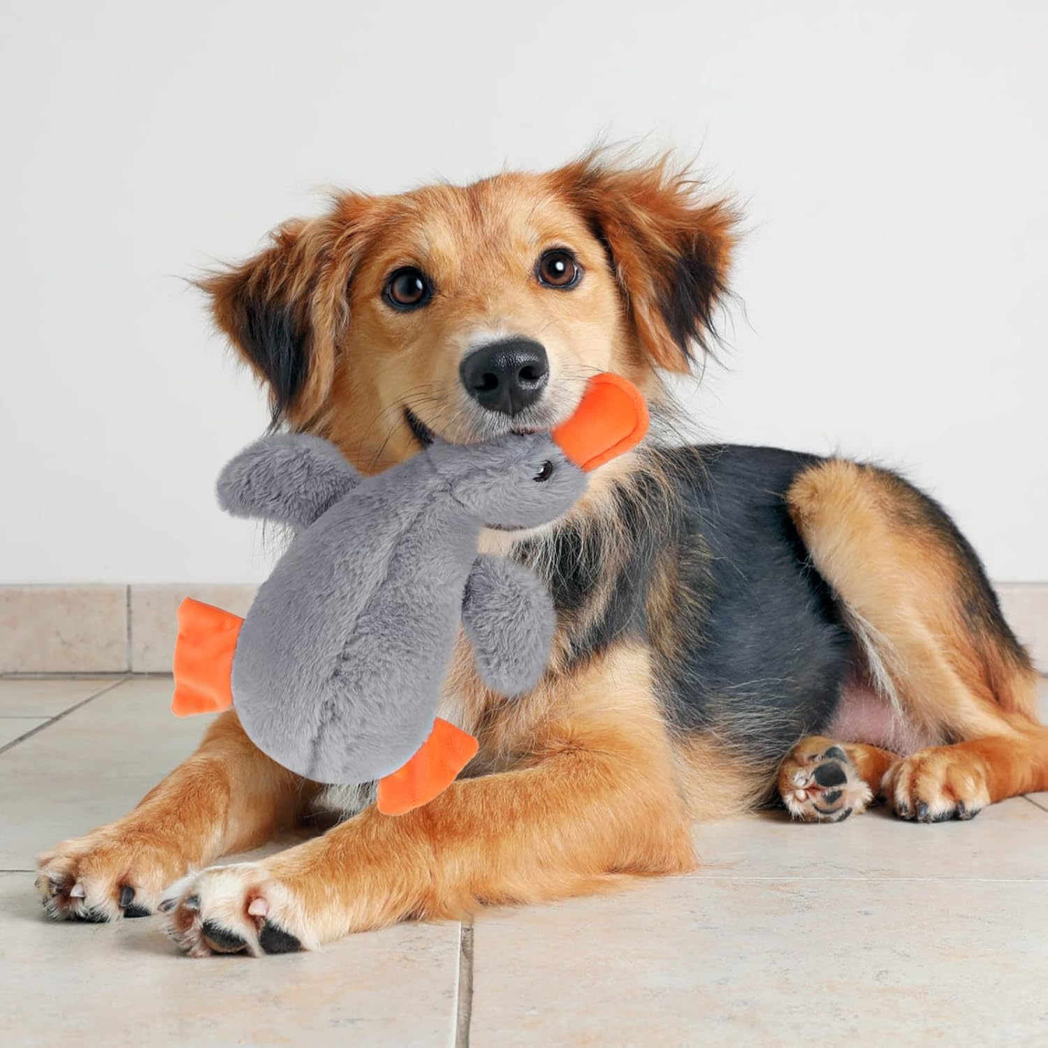 EXPAWLORER Juguete de peluche chirriante para perro, lindo pato de peluche suave, el mejor regalo de cumpleaños, juguetes interactivos para masticar