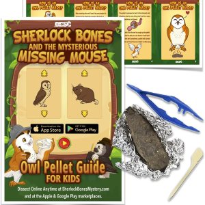 1 paquete Sherlock Bones Owl Pellet Kit + Herramientas + Guía 1 paquete Sherlock Bones Owl Pellet Kit + Herramientas + Guía