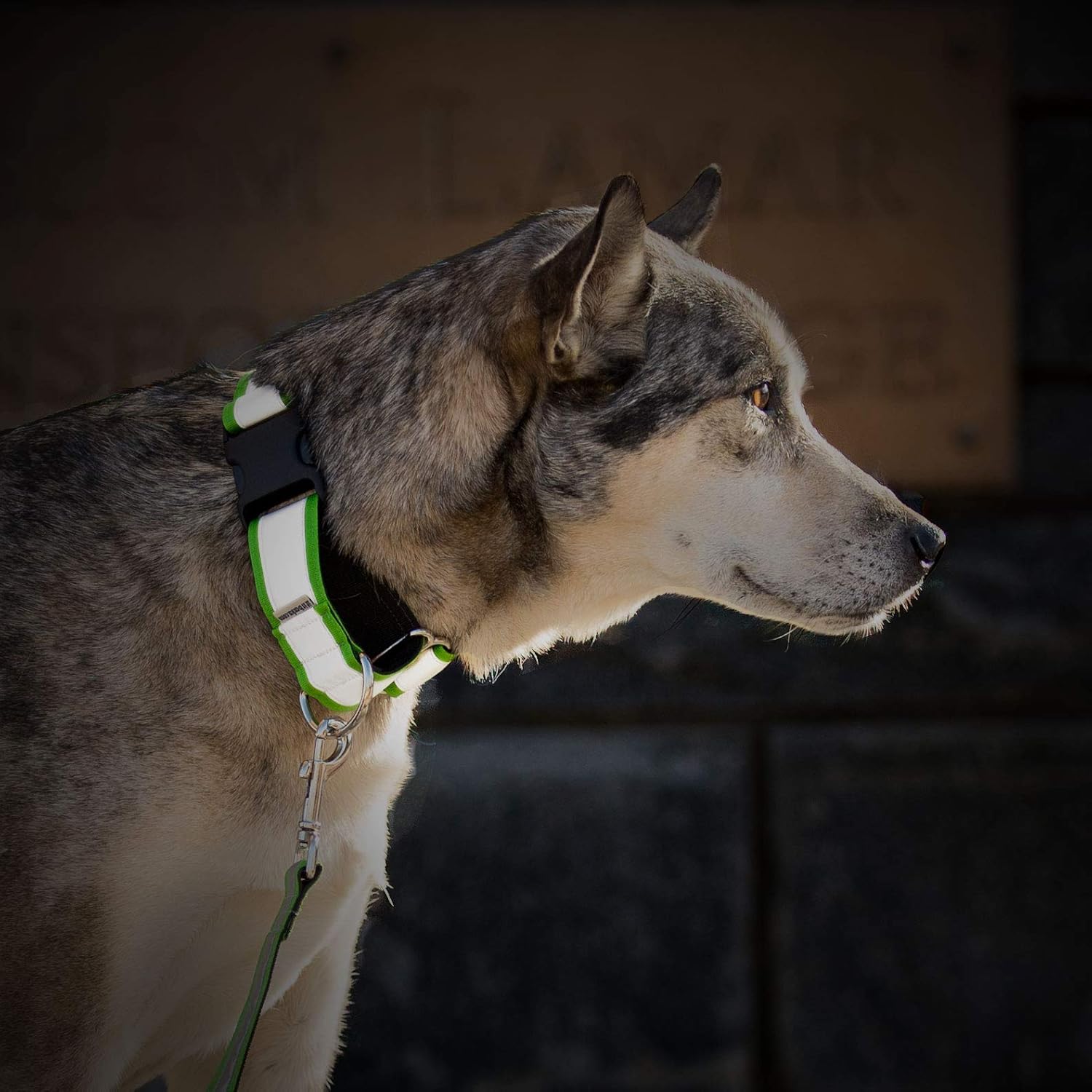 If It Barks – Collar Martingala reflectante de 1.5 pulgadas para perros – Ajustable – Fabricado en Estados Unidos – Fuerte, duradero y cómodo –