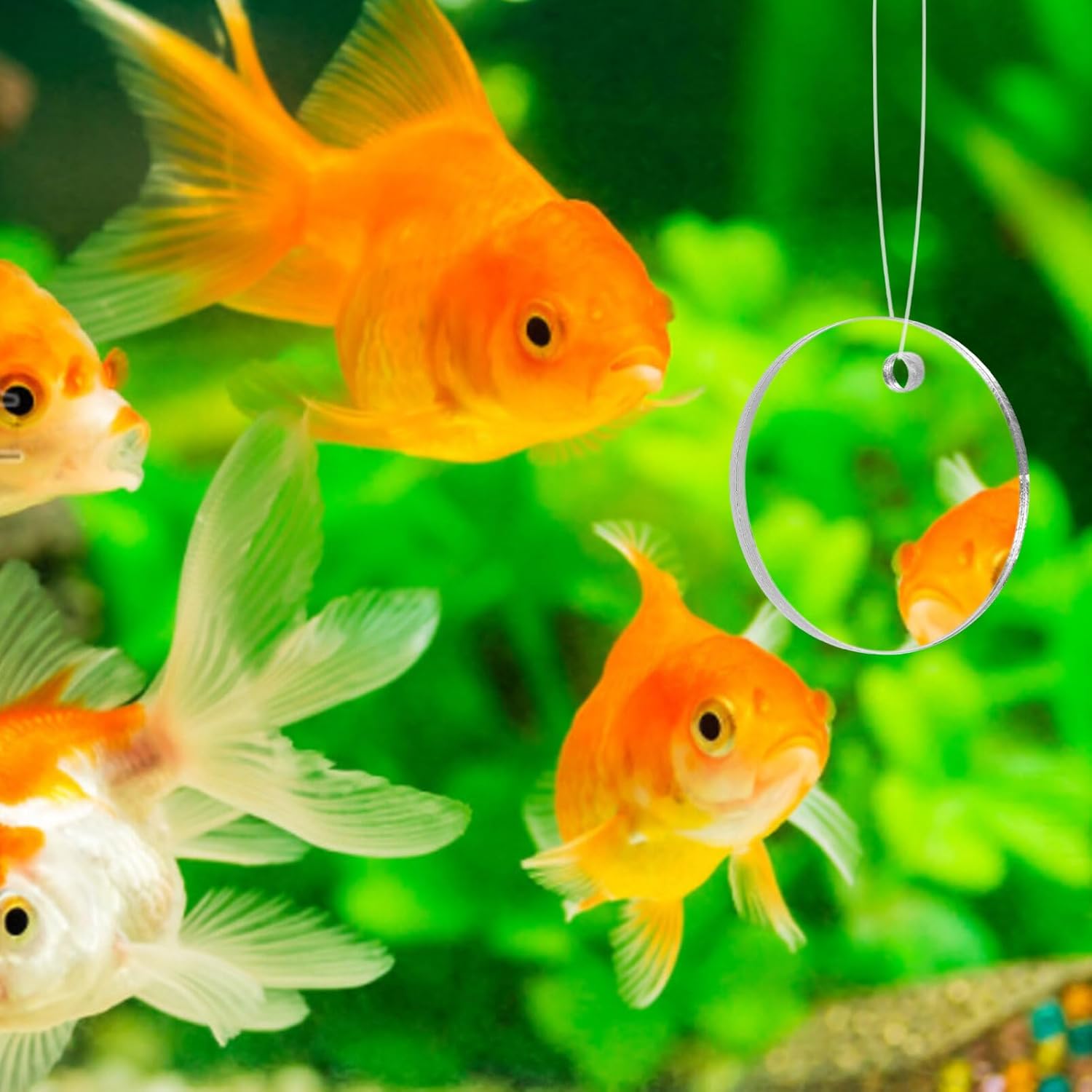POPETPOP Betta Espejo de ejercicio 1 juego de doble cara círculo Betta espejo con bola flotante para acuario pecera 5CM