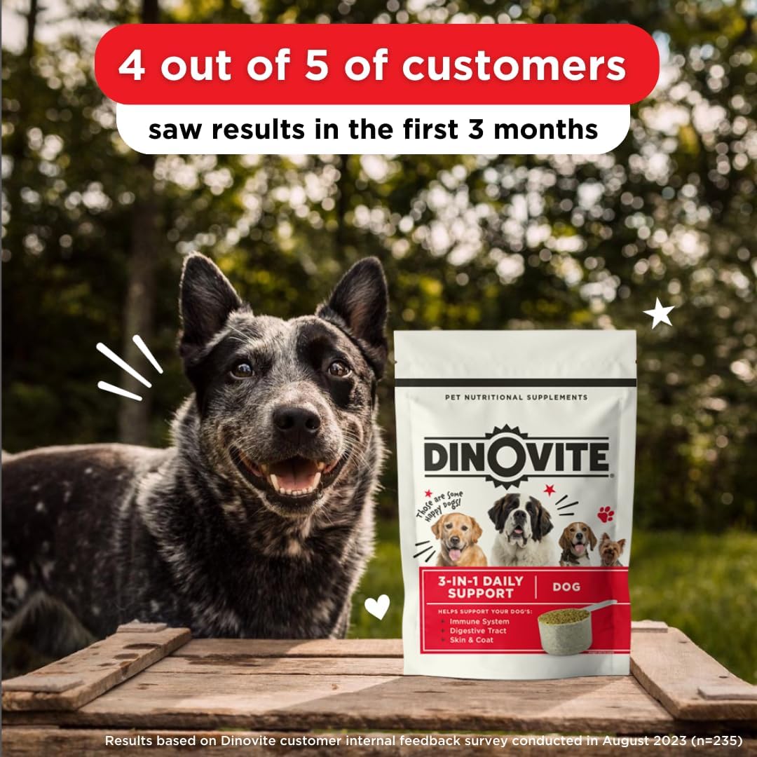 Dinovite Suplemento probiótico para perros – Omega 3 para perros – Alivio de puntos calientes – Suplemento de piel y pelaje para perros – Suministro
