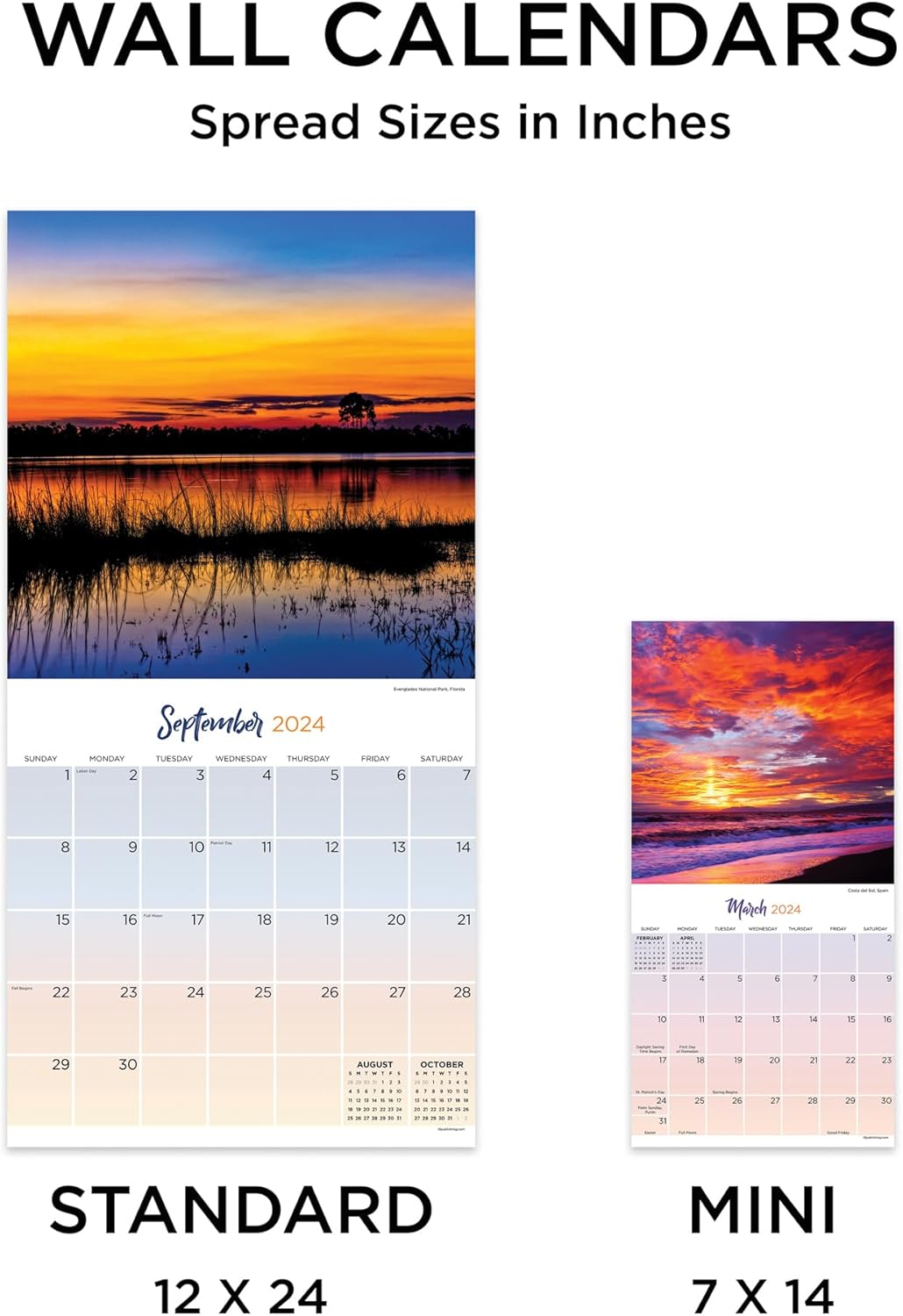 TF PUBLISHING Mini calendario 2024 Sunsets  Rejillas grandes para citas y programación  Calendario mensual vertical de pared 2024  Organización del
