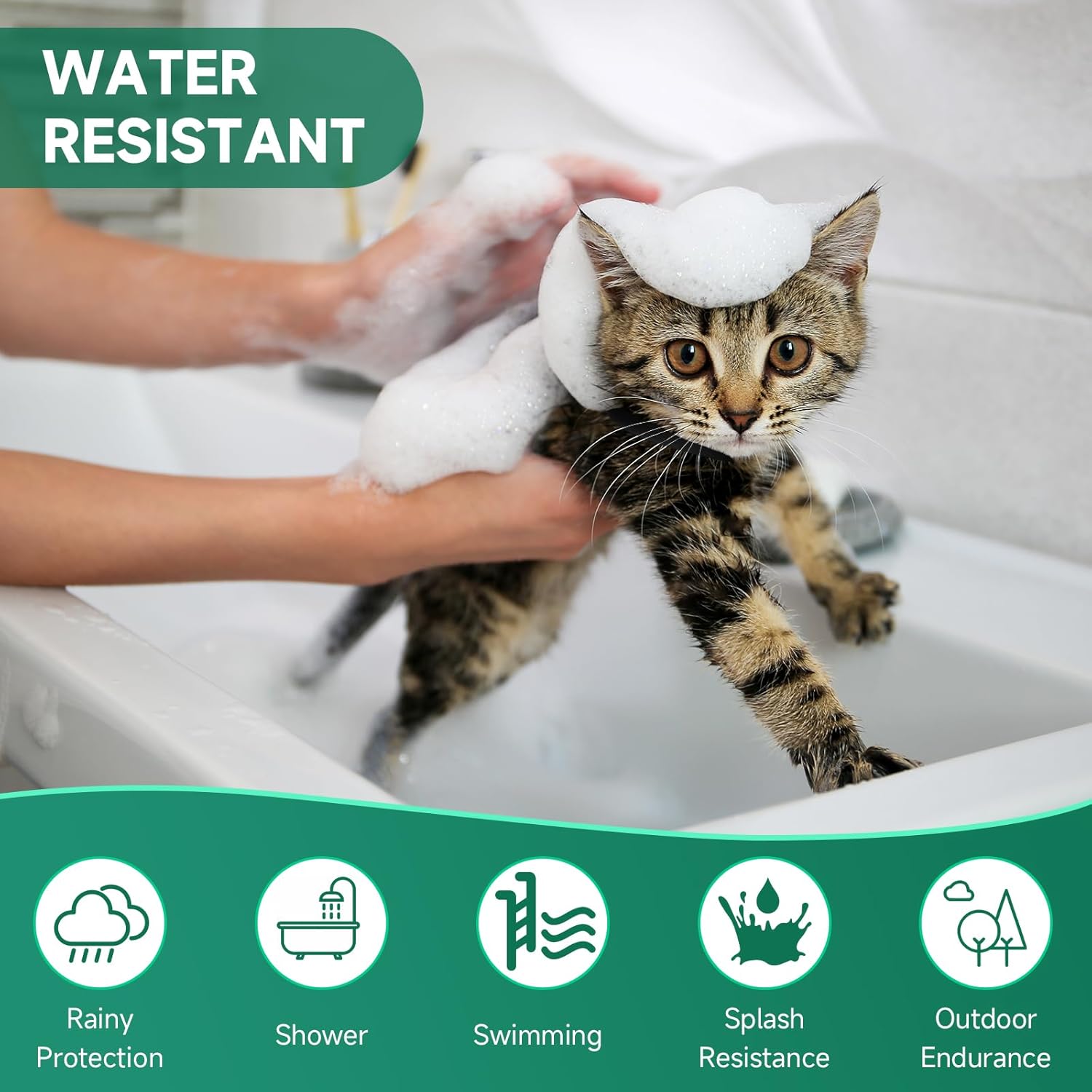 Paquete de 4 collares antipulgas para gatos, tratamiento de pulgas y garrapatas de gato, protección de 8 meses para prevención de pulgas y