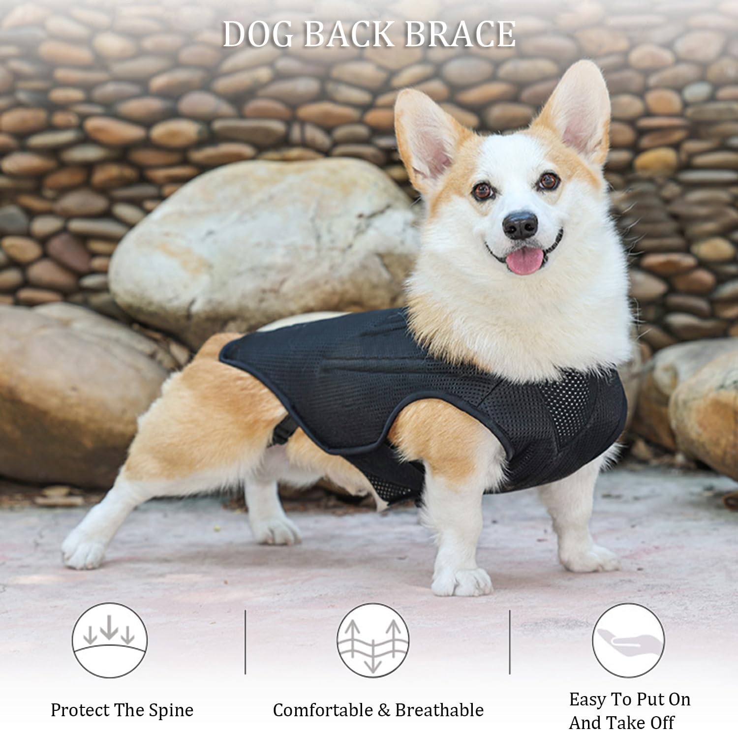 IVDD – Soporte de espalda para perros, chaleco flexible de apoyo de espalda de perro salchicha para mascotas, soporte de espalda para mascotas