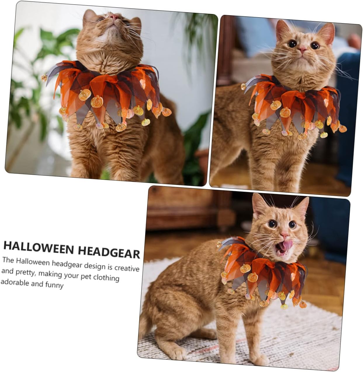NOLITOY 1 juego de sombrero, bufanda, traje de perro pequeño, sombrero de mago para mascotas, disfraz de Halloween, gato, bufanda de perro, disfraz
