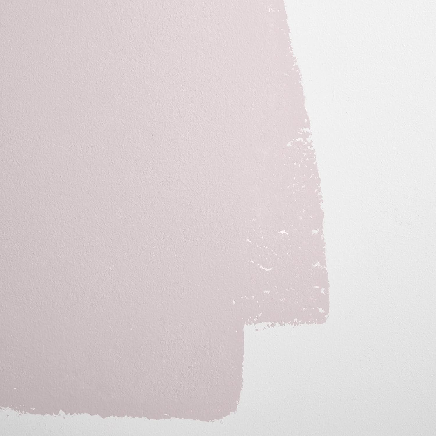 BACKDROP  Pintura interior de alta calidad  Muestra de pintura adhesiva grande  No tan delicada  gris lavanda con un toque de rosa  Muestra de color