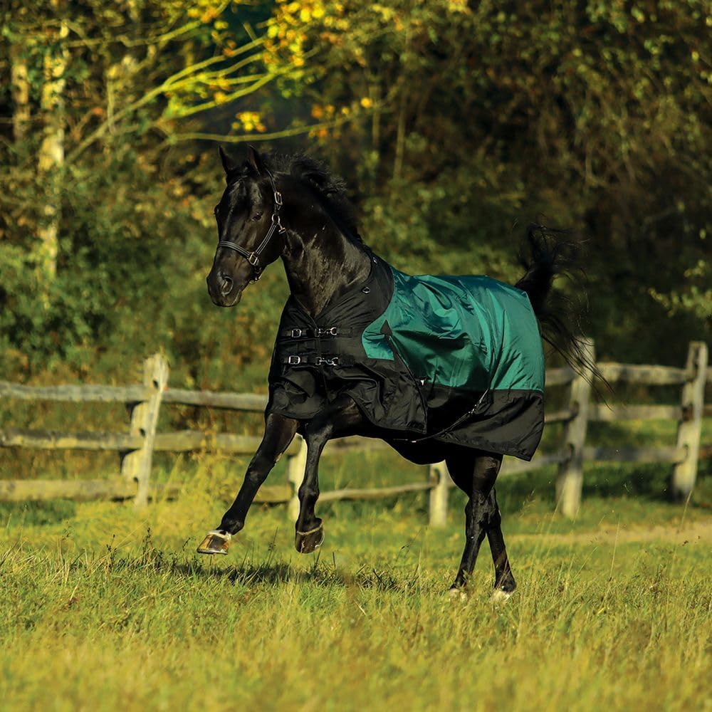 StormShield Contour Collar Extreme II – Manta de caballo  Cuello de contorno Euro Fit  5 veces más impermeable  Máxima protección contra la lluvia y