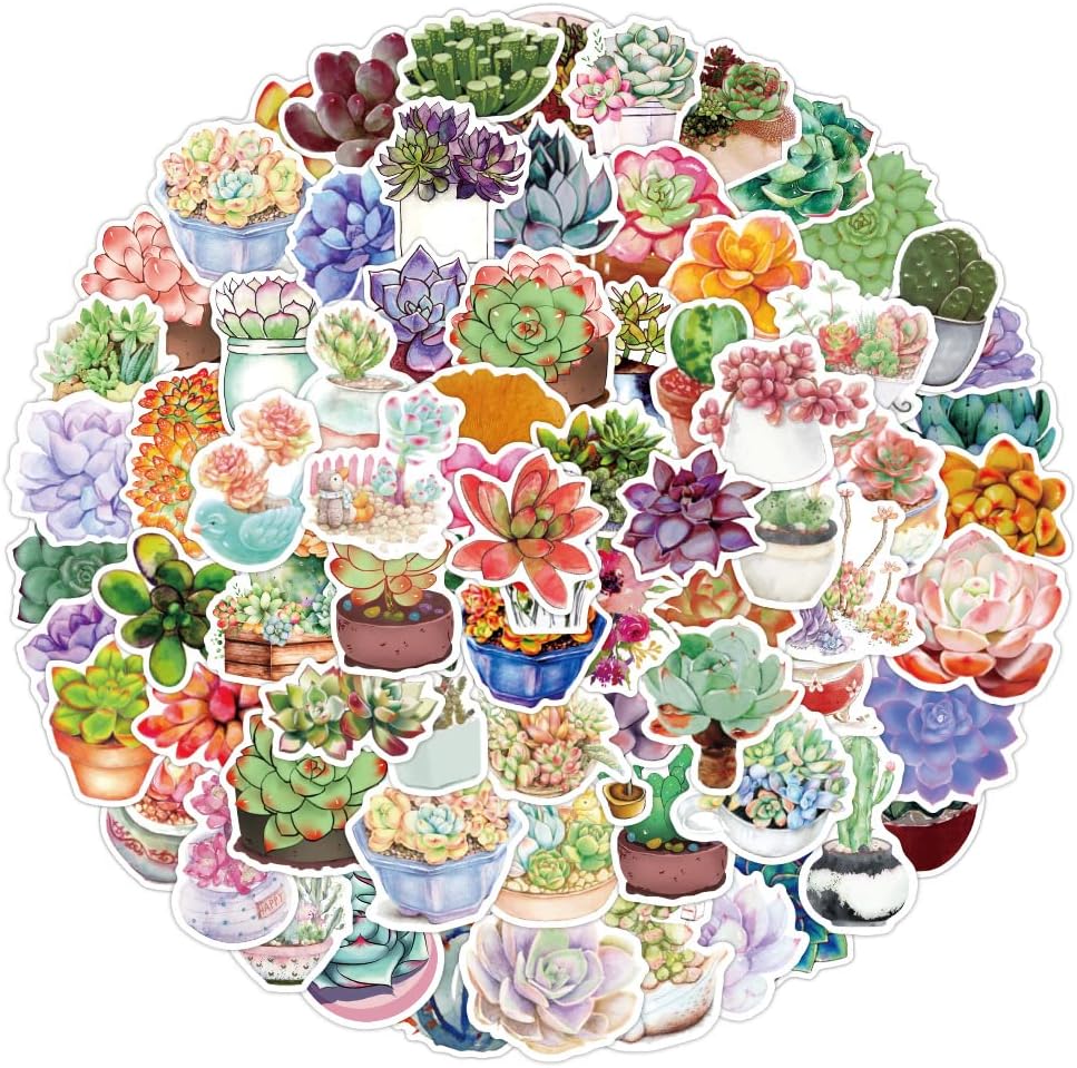 100 calcomanías para suculentas, calcomanías de plantas de cactus verdes, de vinilo, impermeables, para adolescentes, adultos, diario, botella de