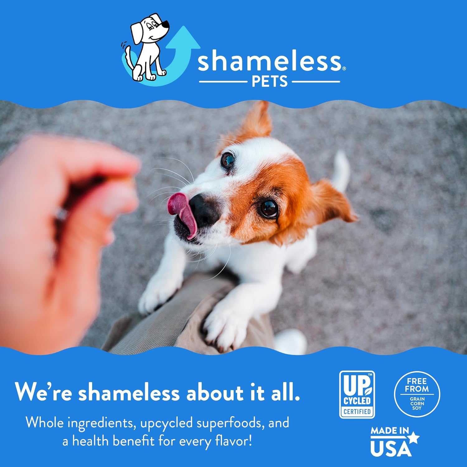 Shameless Pets Golosinas dentales para perros, Carrate Chomp, palitos dentales saludables con soporte para la piel y el pelaje para limpieza de