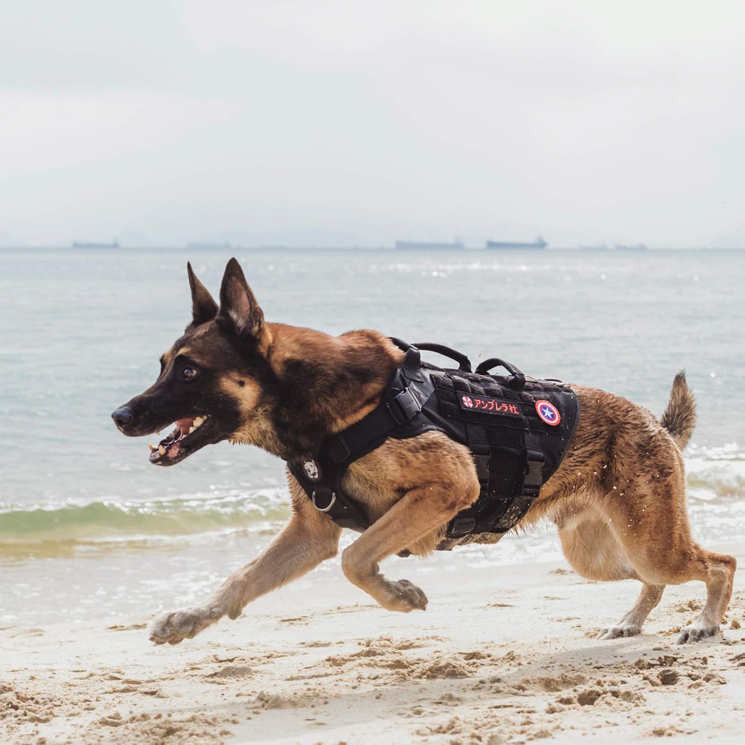 OneTigris Arnés táctico grande para perro, arnés ajustable de chaleco para perro sin tirones, arnés resistente con asa, paneles grandes de gancho y