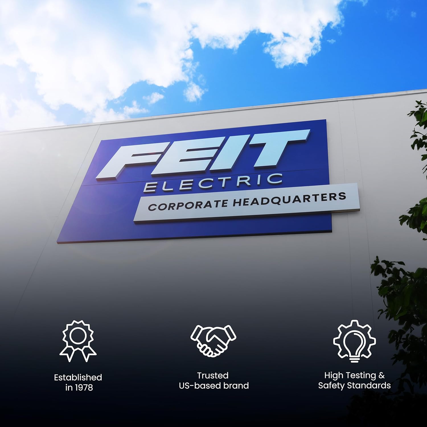 Feit Electric Bombilla LED A19, equivalente a 60 W, no regulable, 800 lúmenes, base media E26, blanco brillante de 3000 K, CRI 90, vida útil de 10