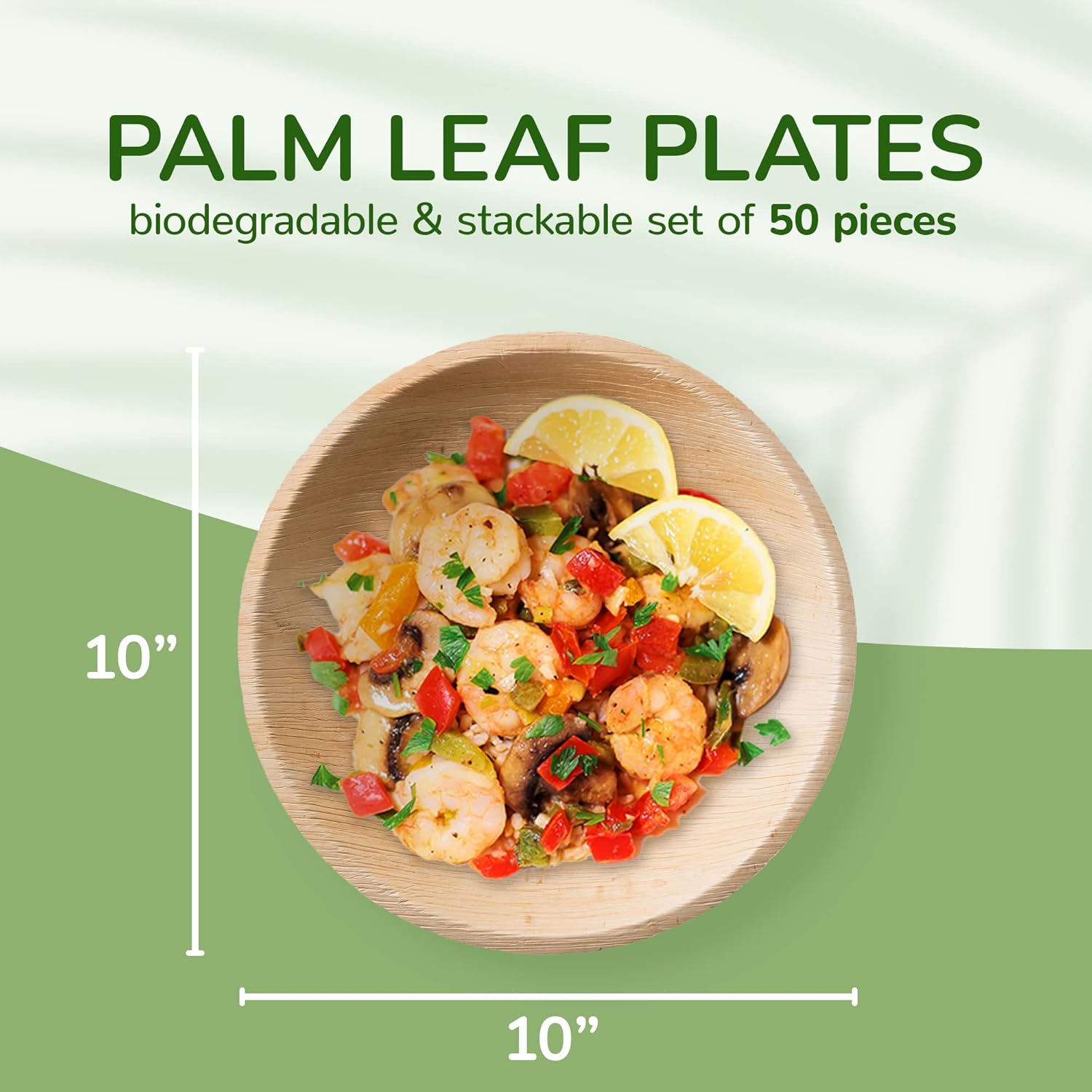 TCC – Platos llanos grandes de hoja de palma de 10 pulgadas, 50 piezas, 1 pulgada de profundidad, redondos, estilo bambú y madera, biodegradables,