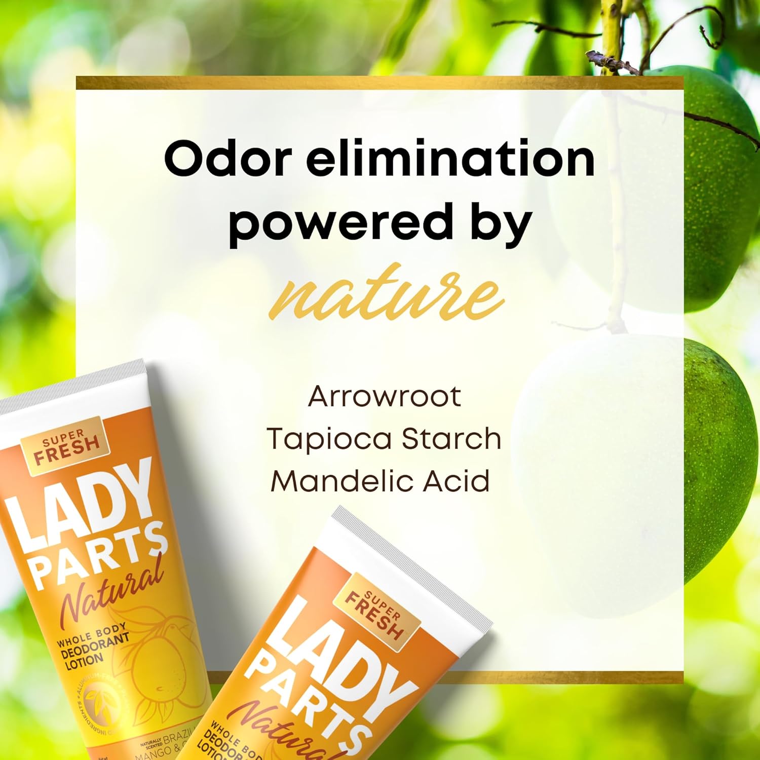 Lady Parts Loción desodorante corporal natural para personas privadas, muslos, senos y axilas, control de olores sin aluminio, sin bicarbonato de