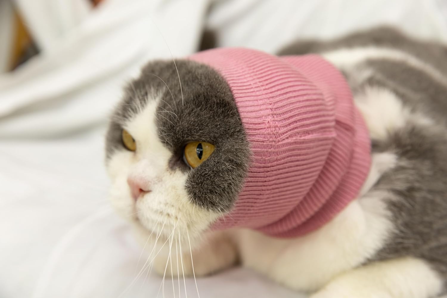 Dog Calm – Sudadera con capucha sin envoltura para las orejas, protector de cuello para perro, protectores de oídos cómodos para perros, color rojo