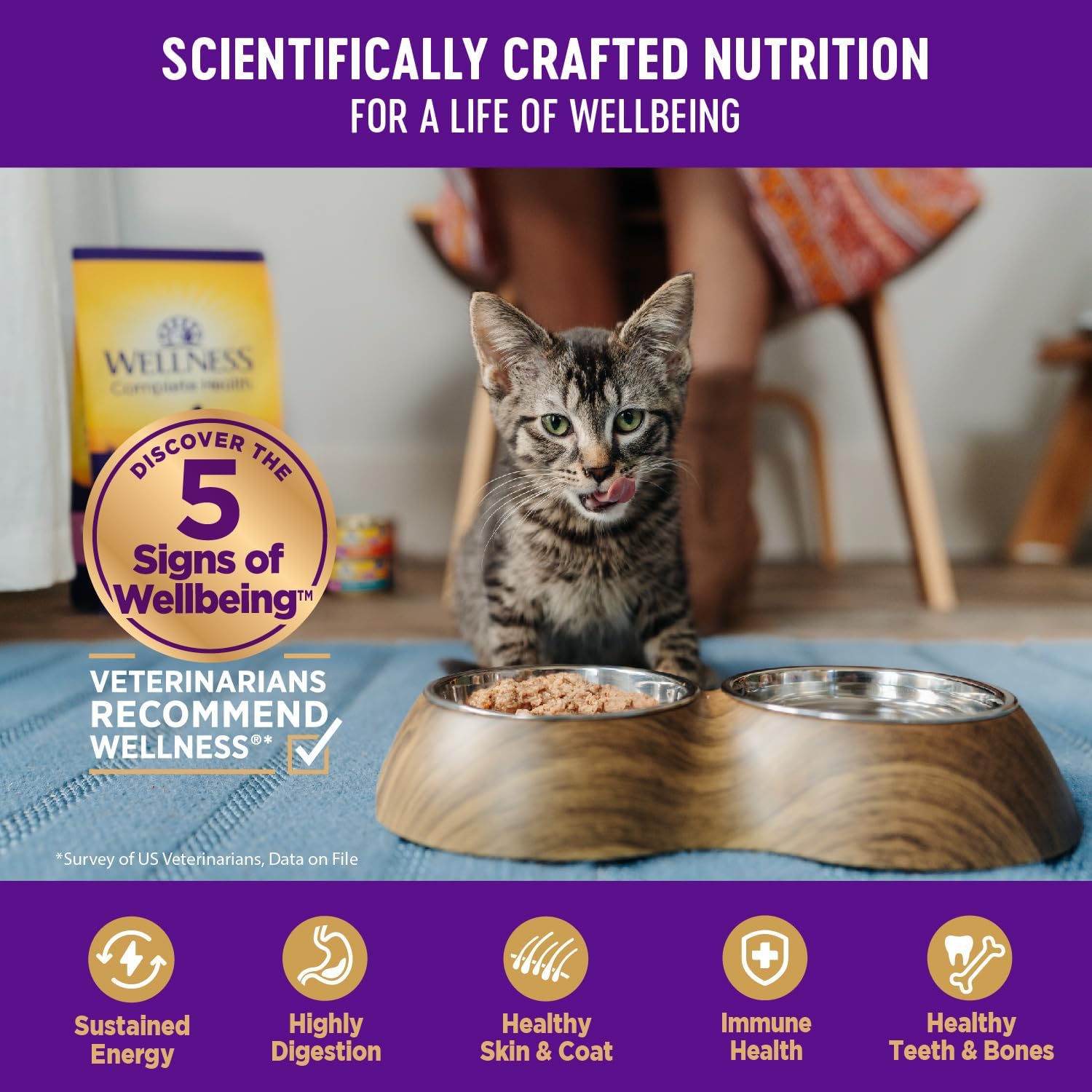 Comida húmeda para gatos Healthy Indulgence, libre de granos, bolsa de 3onzas (paquete de 24 envases), de Wellness