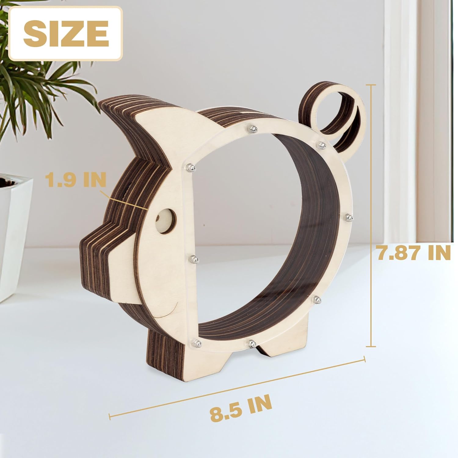 Alcancía de madera Boalord para niños, niñas, niños y adultos, transparente, dinero real, monedero, regalos para niños pequeños