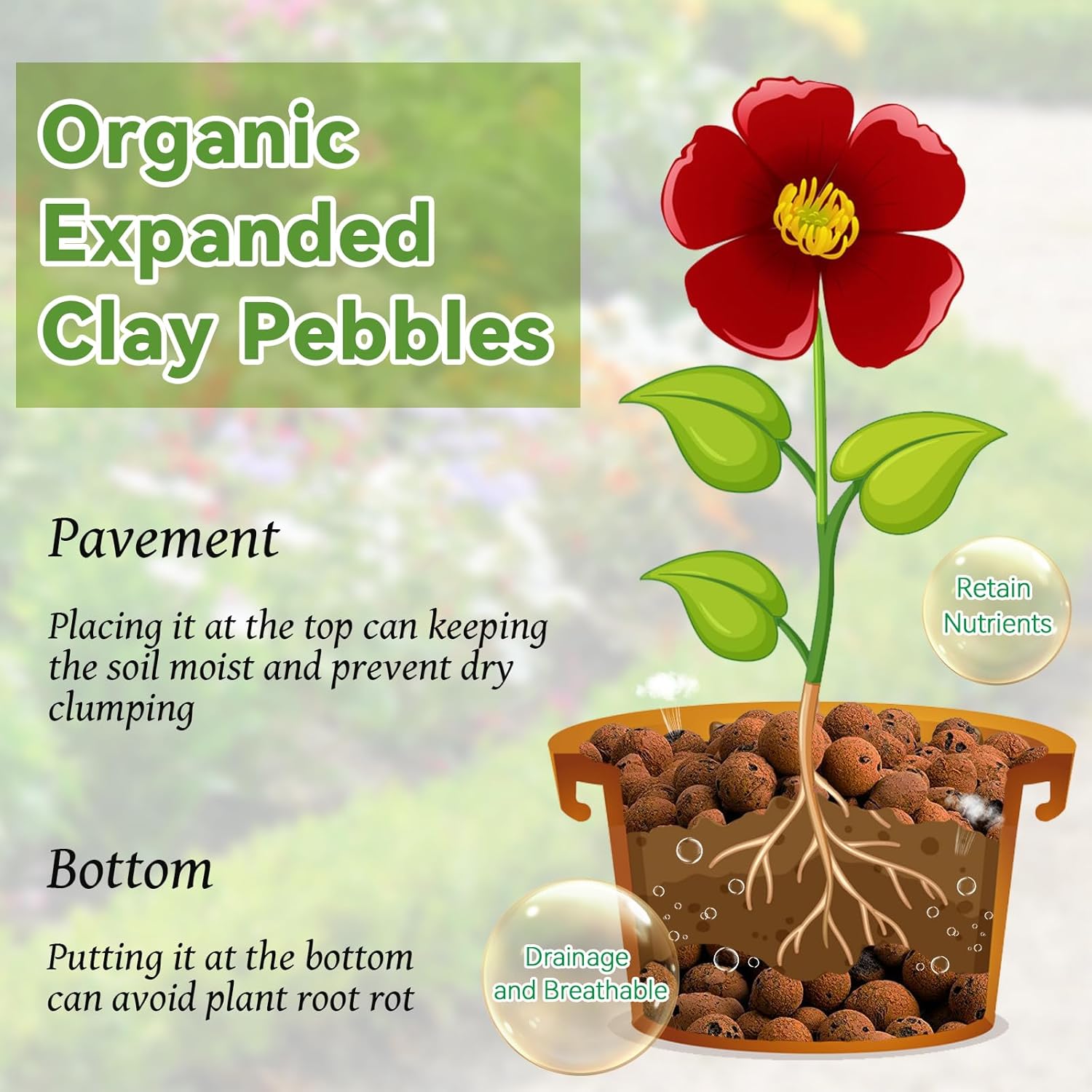 Riare Guijarros de arcilla expandida orgánica de 14 libras para plantas, bolas de leca natural de 0.157 a 0.630 pulgadas, ligeras piedras