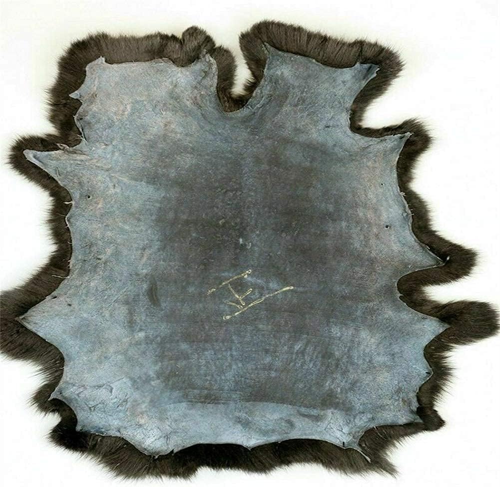 Piel de conejo natural de calidad artesanal, piel de conejo de calidad de costura, 10 x 14 pulgadas, color negro, paquete de 2 unidades
