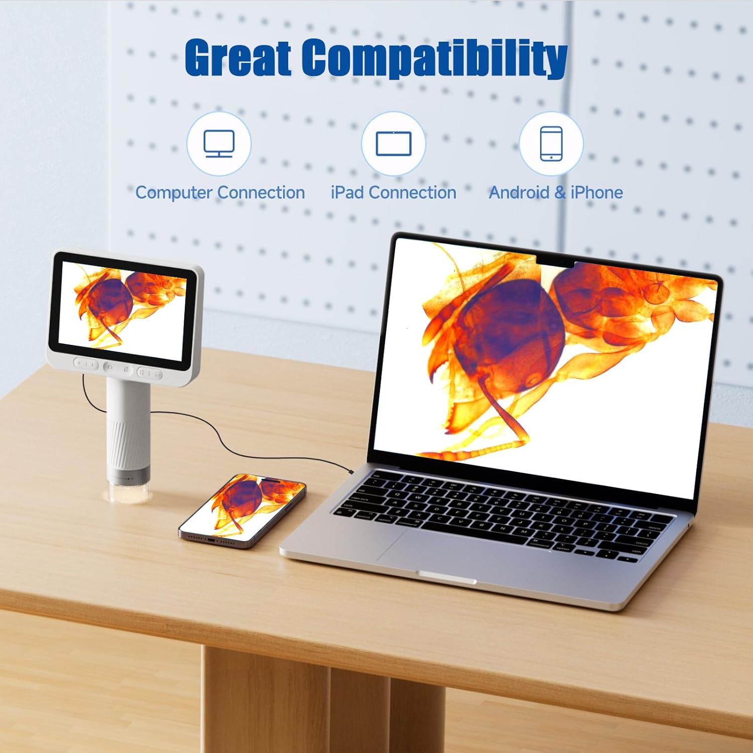 BEAVERLAB Microscopio digital con pantalla IPS 1080P de 4.3 pulgadas, ligero y portátil, aumento de 1600x para niños y adultos, exploración de la