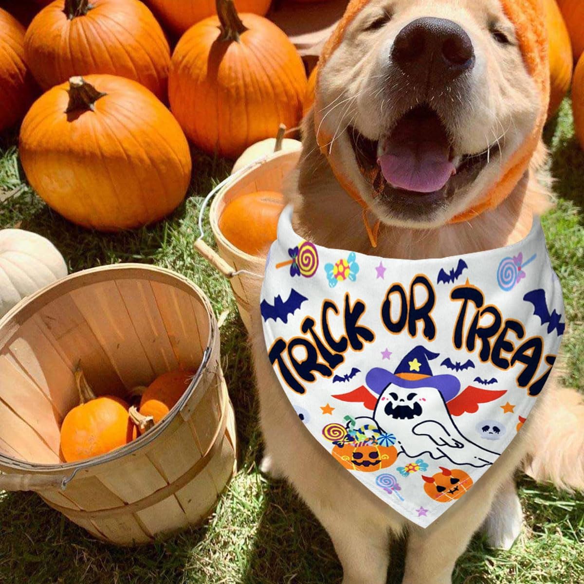 Bandanas para perros de Halloween, paquete de 2 bandanas con temática de “Happy Halloween” y “Trick or Treat”, de tela duradera, adecuadas para