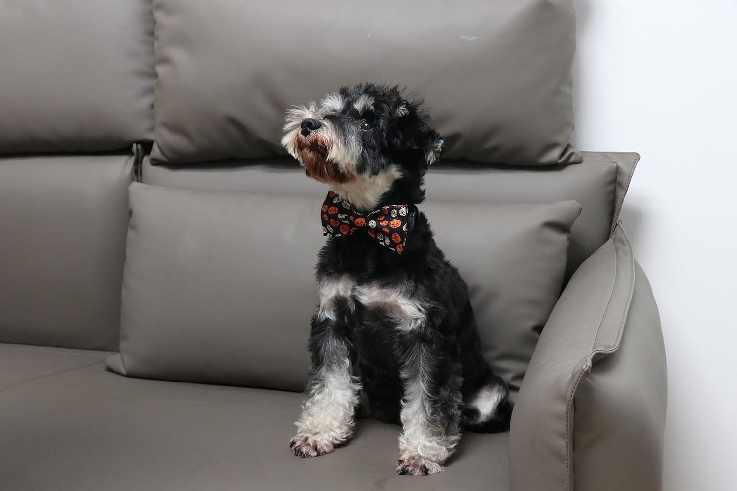 Lionet Paws Collar de moño para perro de Halloween, lindo collar de algodón ajustable para perro con corbatín para perro pequeño, mediano y grande,