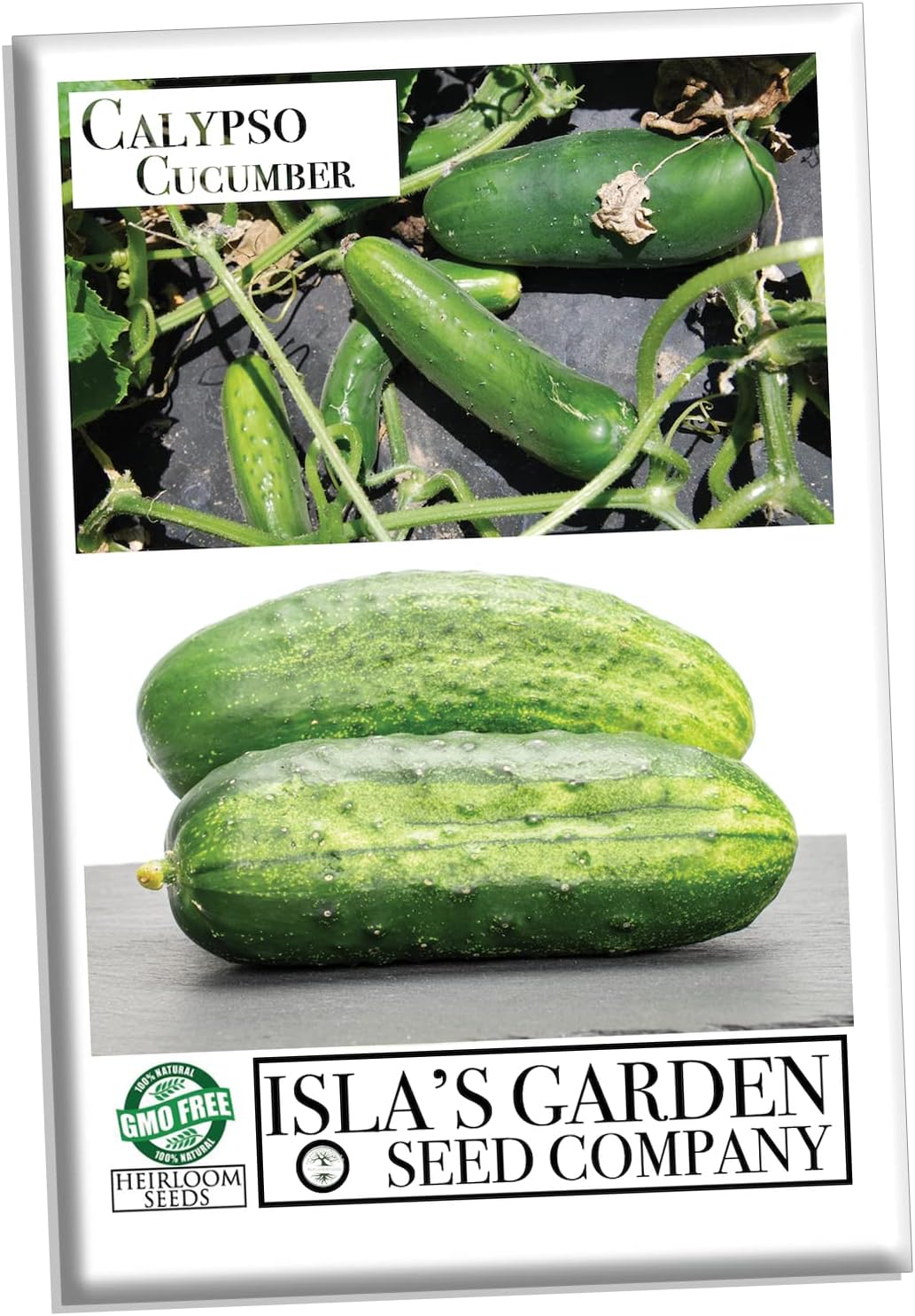 Semillas de pepino Calypso para plantar, más de 25 semillas de reliquia por paquete, semillas de jardín de Isla (semillas de jardín de Isla),