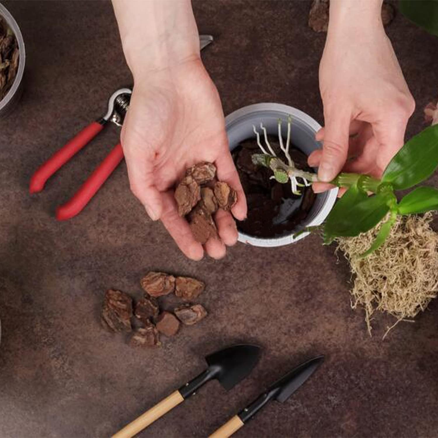 Doter Corteza orgánica para macetas de orquídeas de 10 cuartos de galón, trozos destacados para enmienda de suelo de jardín para el desarrollo