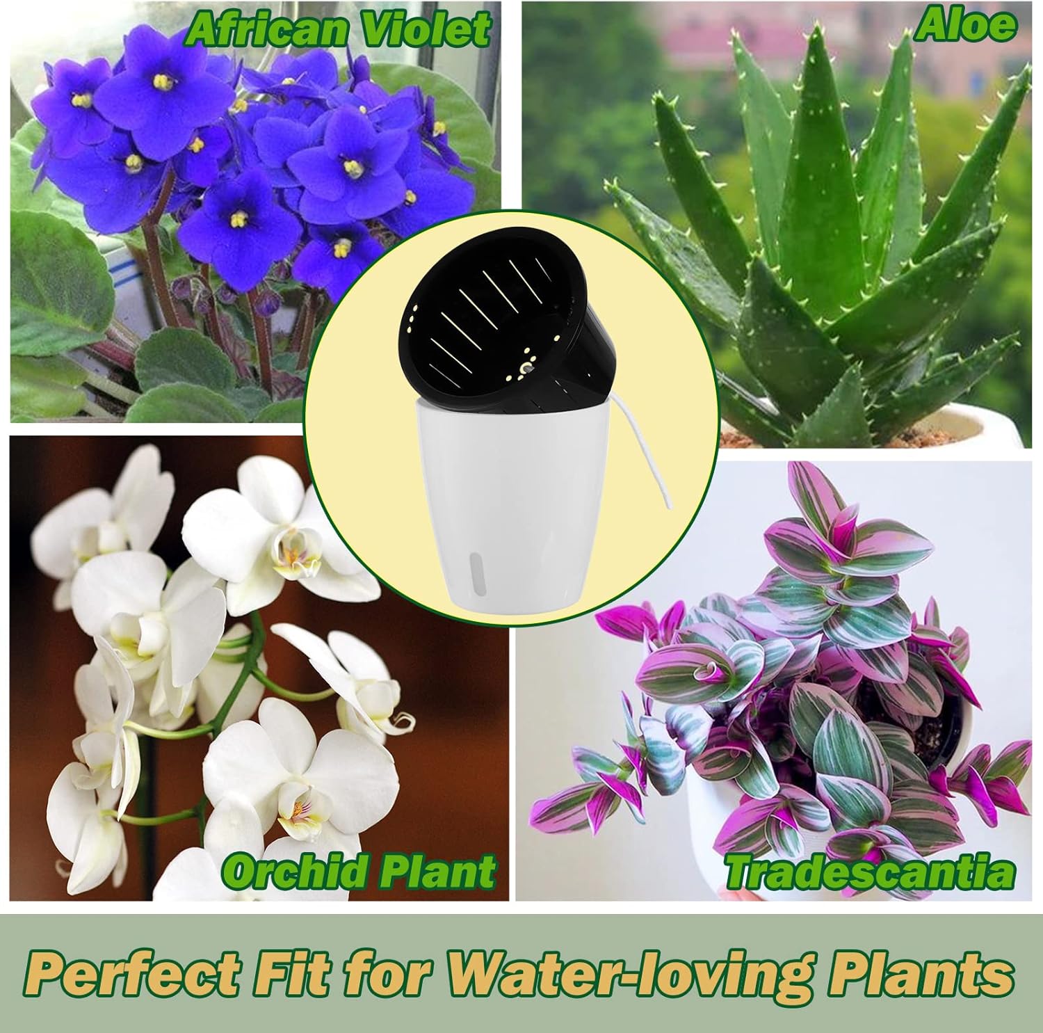 Paquete de 10 macetas de riego automático de 5 pulgadas para plantas de interior con indicador de agua, macetas de violeta africana con maceta de