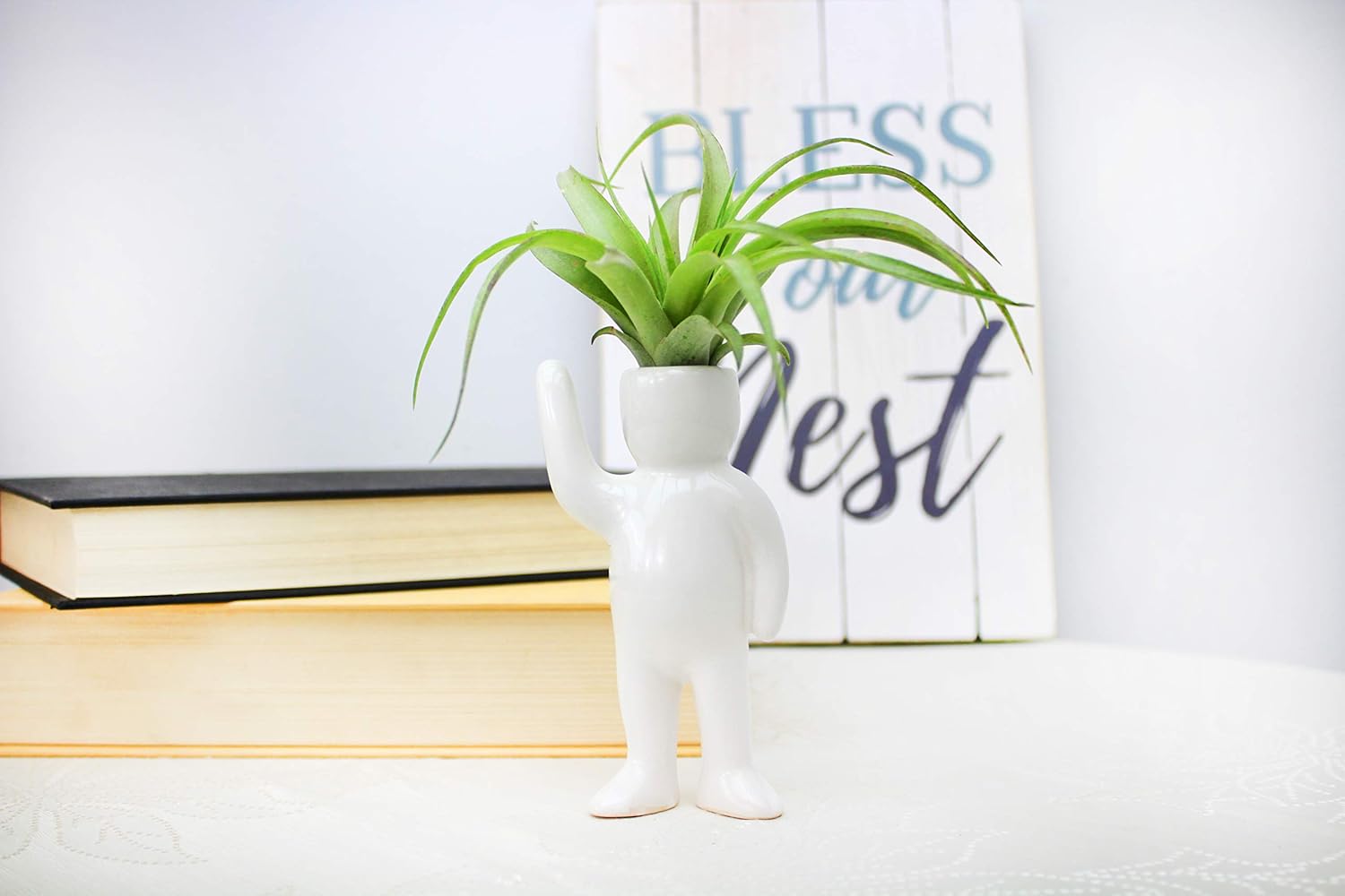 NW Wholesaler Maceta en forma de persona de cerámica blanca de 4.75 pulgadas con planta de aire Tillandsia viva, plantas de aire de interior en
