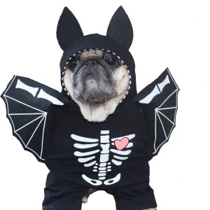 SEIS Disfraz de murciélago para perro con alas, divertido disfraz de Halloween para mascotas, ropa de invierno para gatos, ropa de esqueleto para SEIS Disfraz de murciélago para perro con alas, divertido disfraz de Halloween para mascotas, ropa de invierno para gatos, ropa de esqueleto para