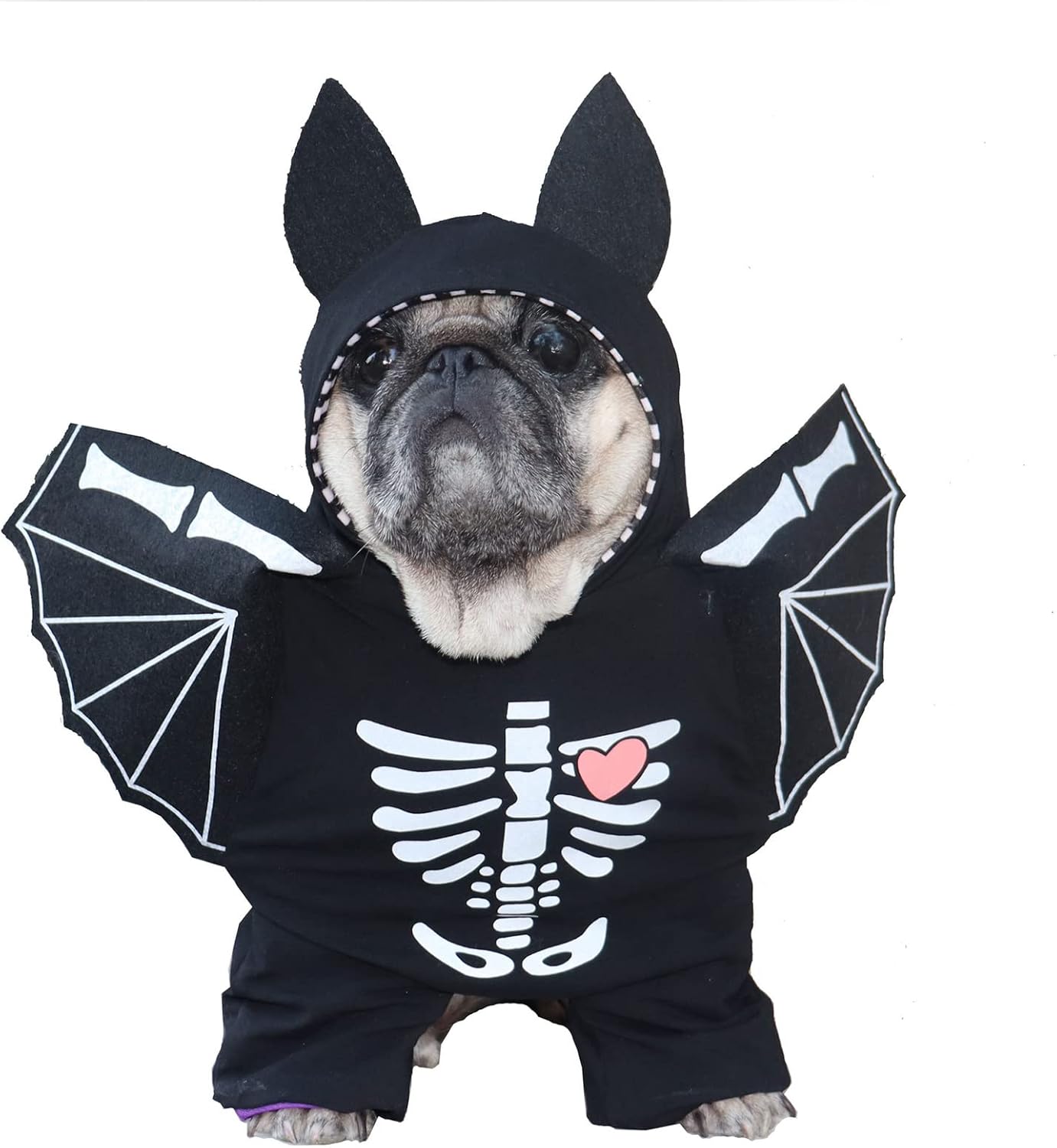 SEIS Disfraz de murciélago para perro con alas, divertido disfraz de Halloween para mascotas, ropa de invierno para gatos, ropa de esqueleto para