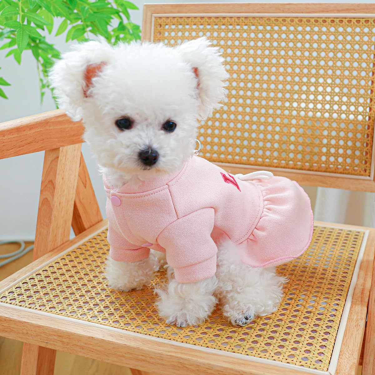 Vestidos para perros pequeños, con corbatín, arnés para niña, linda falda tutú con estampado de amor, vestido de princesa para cachorros, ropa de