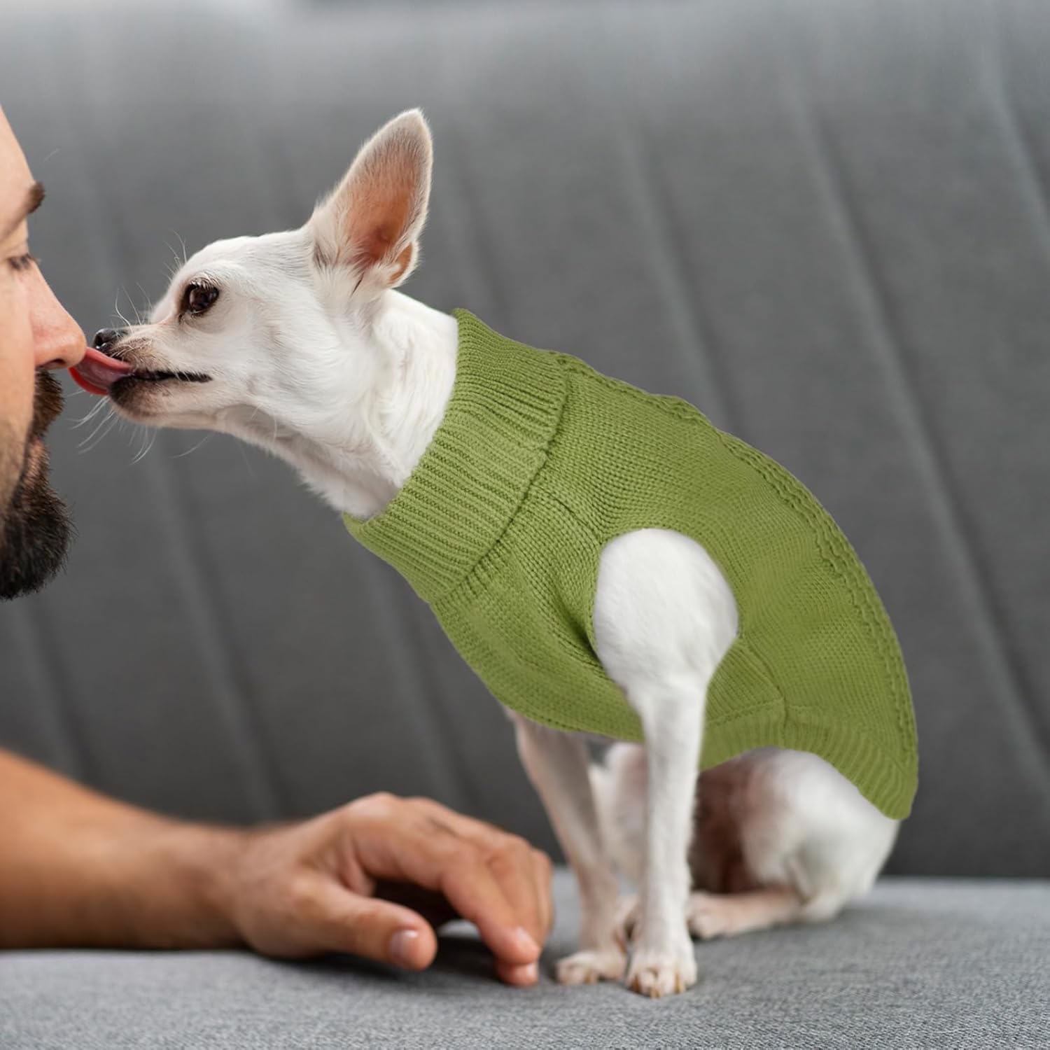 DENTRUN Suéter para perros pequeños, cachorro de cuello alto para clima frío, ropa clásica de invierno cálida para perro, chaleco para perro