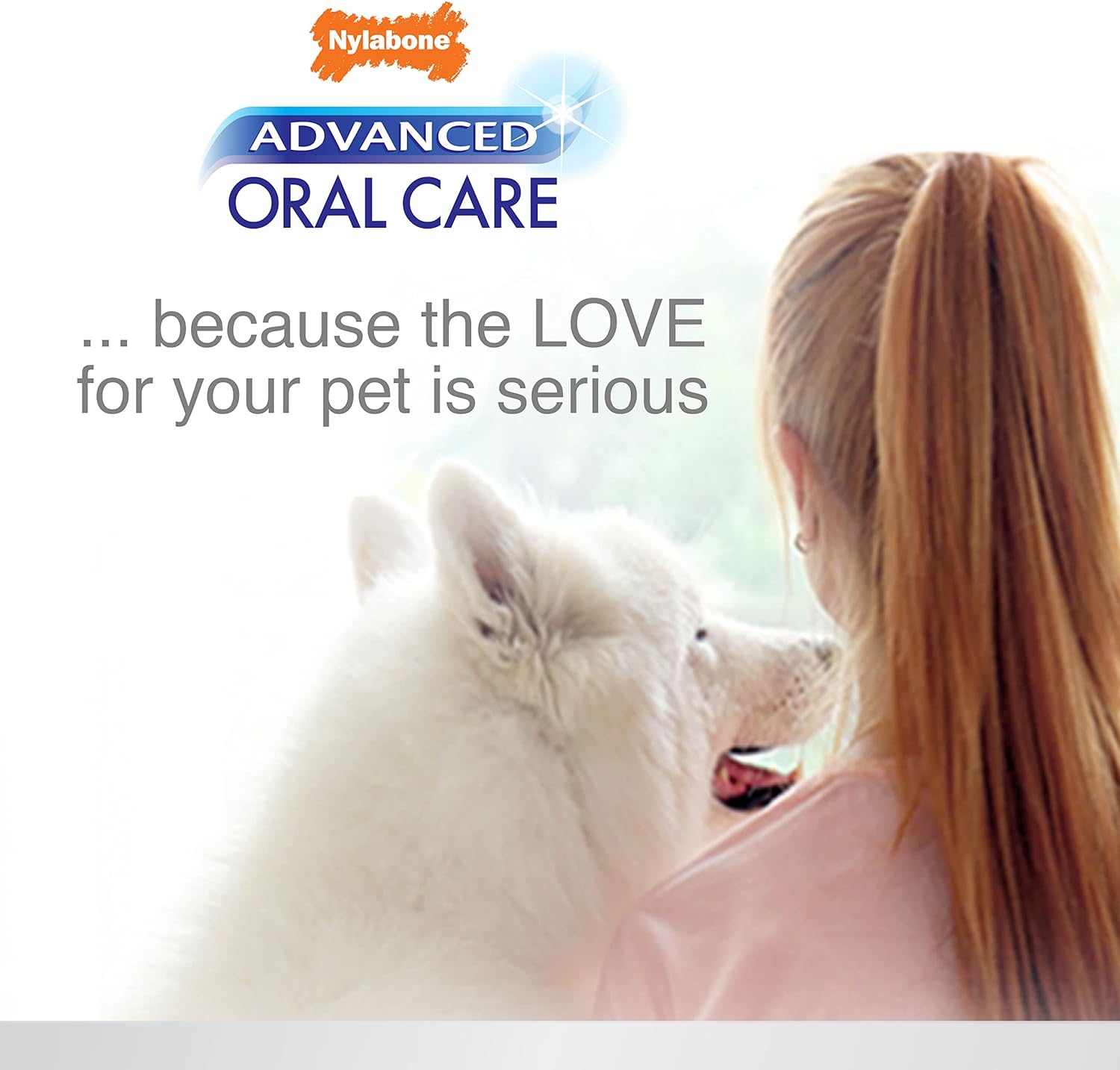 Nylabone Advanced Oral Care – Removedor de sarro para perros en espuma, ambientador de aliento y espuma de limpieza de dientes (4 onzas)