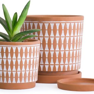 D’vine Dev Juego de 2 macetas de terracota, 4 y 6 pulgadas, macetas para plantas con agujeros de drenaje y platillos, color rojo y blanco, 31-958-B-1 D’vine Dev Juego de 2 macetas de terracota, 4 y 6 pulgadas, macetas para plantas con agujeros de drenaje y platillos, color rojo y blanco, 31-958-B-1