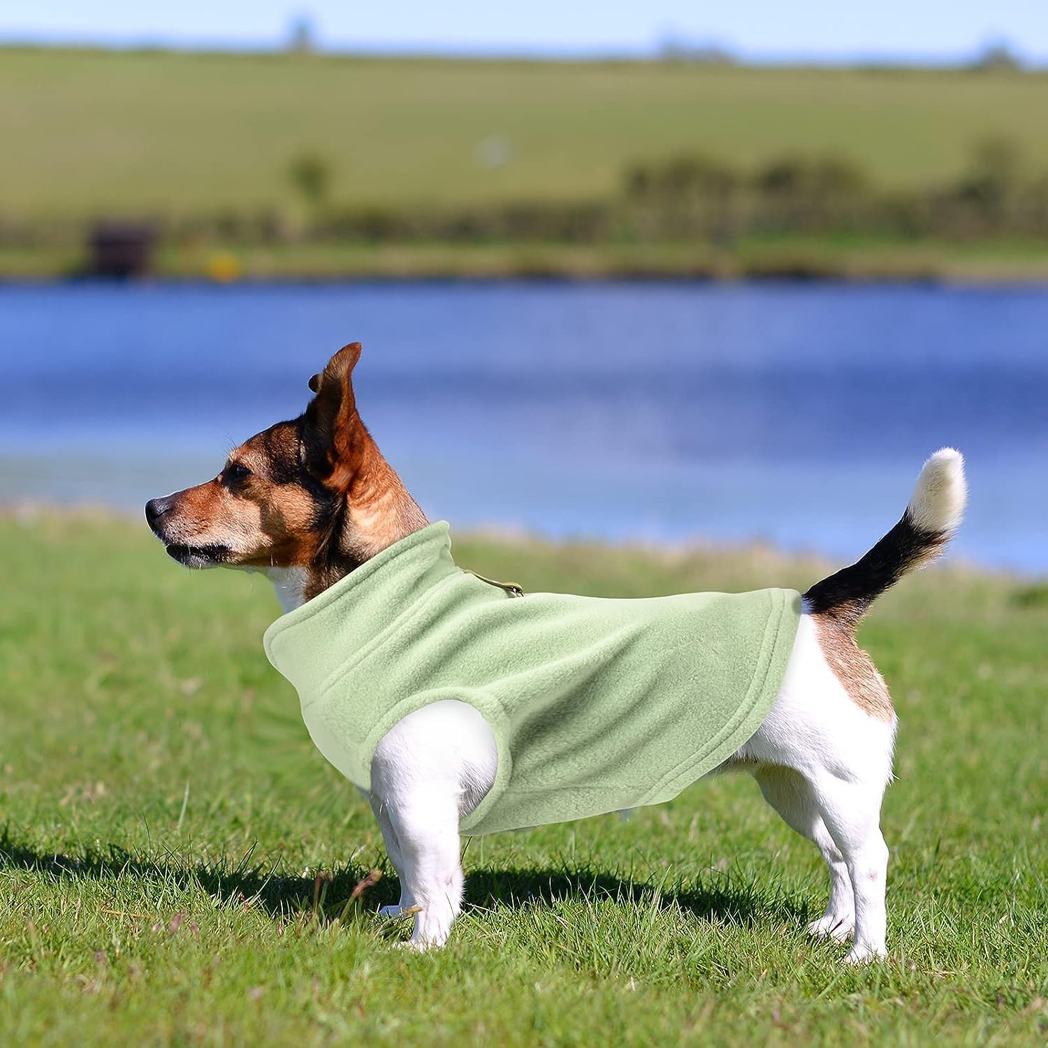Suéter de tela de invierno para perro con anillo para correa, chaleco de forro polar para perro, chaqueta cálida para mascotas, ropa para cachorros,