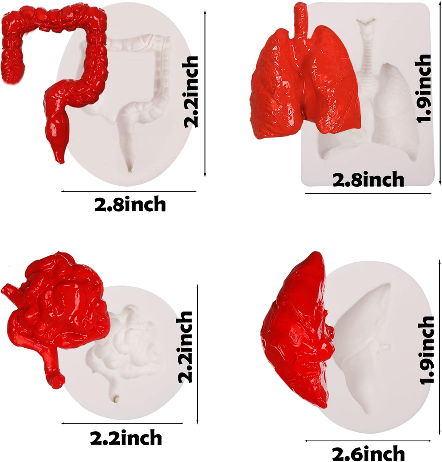 Moldes de silicona para órganos humanos, 8 unidades para Halloween, corazón, cerebro, hígado, estómago intestinal, moldes de fondant de chocolate