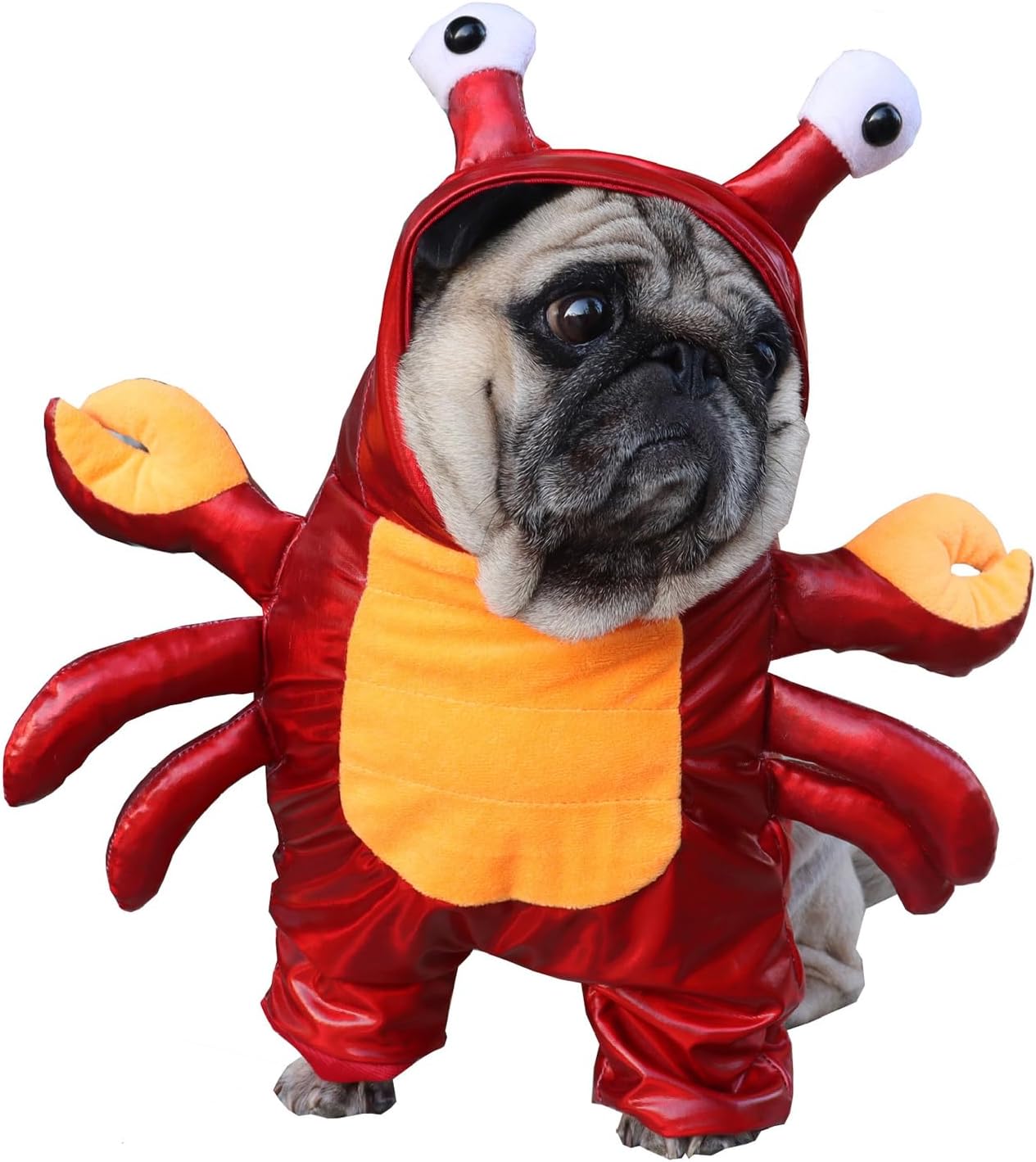 BAMY Disfraz de cangrejo para perro de Halloween con capucha de invierno para mascotas, ropa divertida de bulldog para gatos, ropa para perros