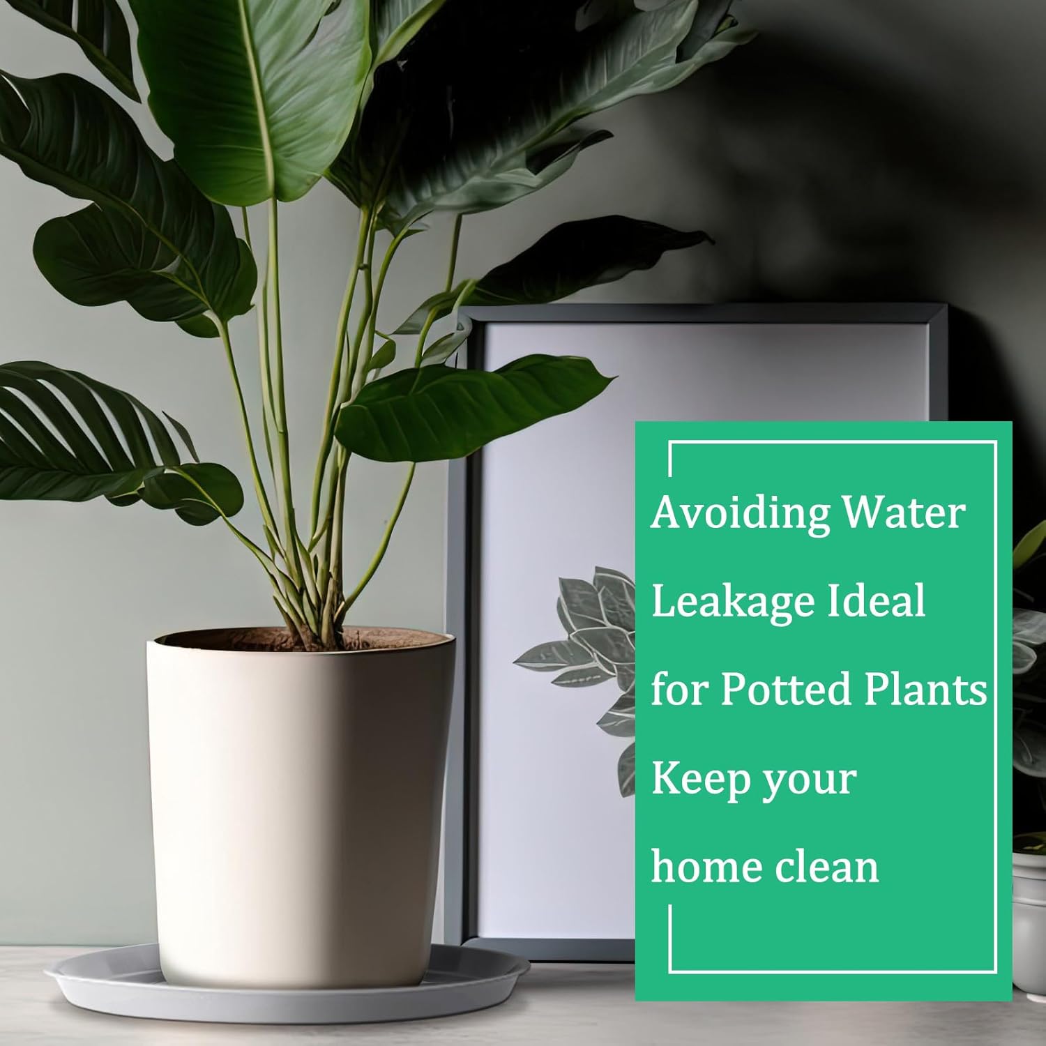 Eccliy Paquete de 6 platillos de plástico resistentes para macetas, platillos grandes para macetas, bandejas de agua de plástico para interiores y