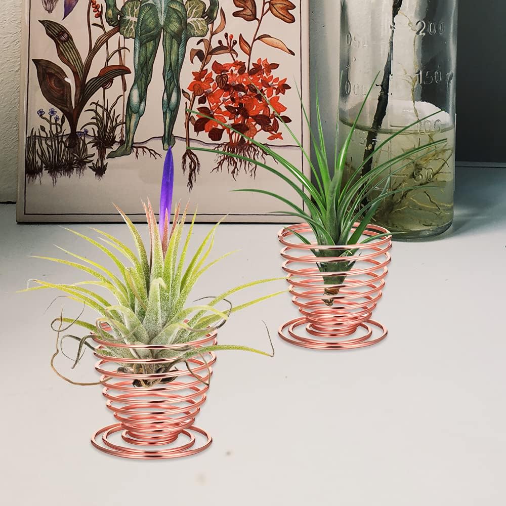 LIYI Soporte para plantas de aire, 8 unidades, contenedor de acero inoxidable para plantas de aire, estantes de exhibición para decoración del