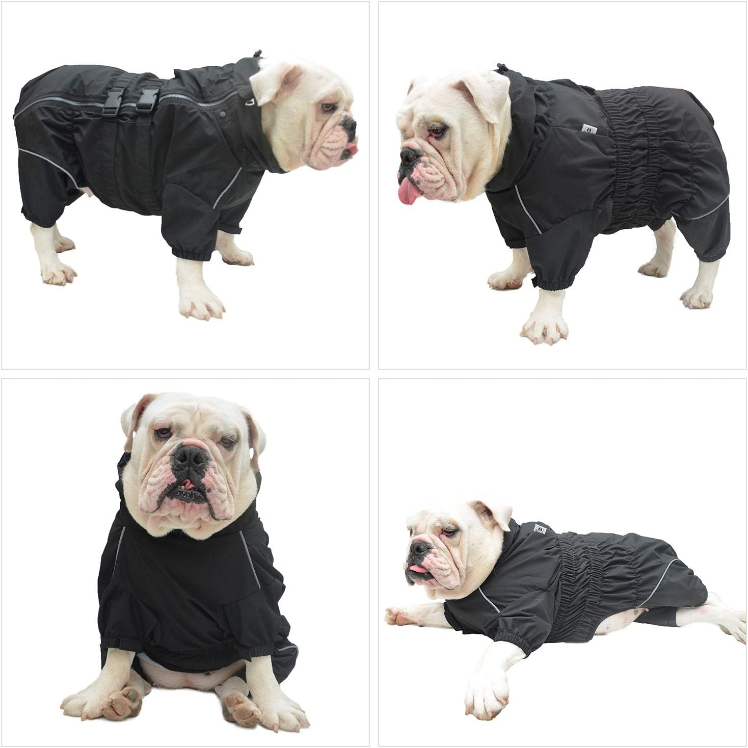 Lovelonglong – Chaqueta impermeable para perros, ligera, impermeable, reflectante, resistente al viento, a prueba de nieve, para perros pequeños,