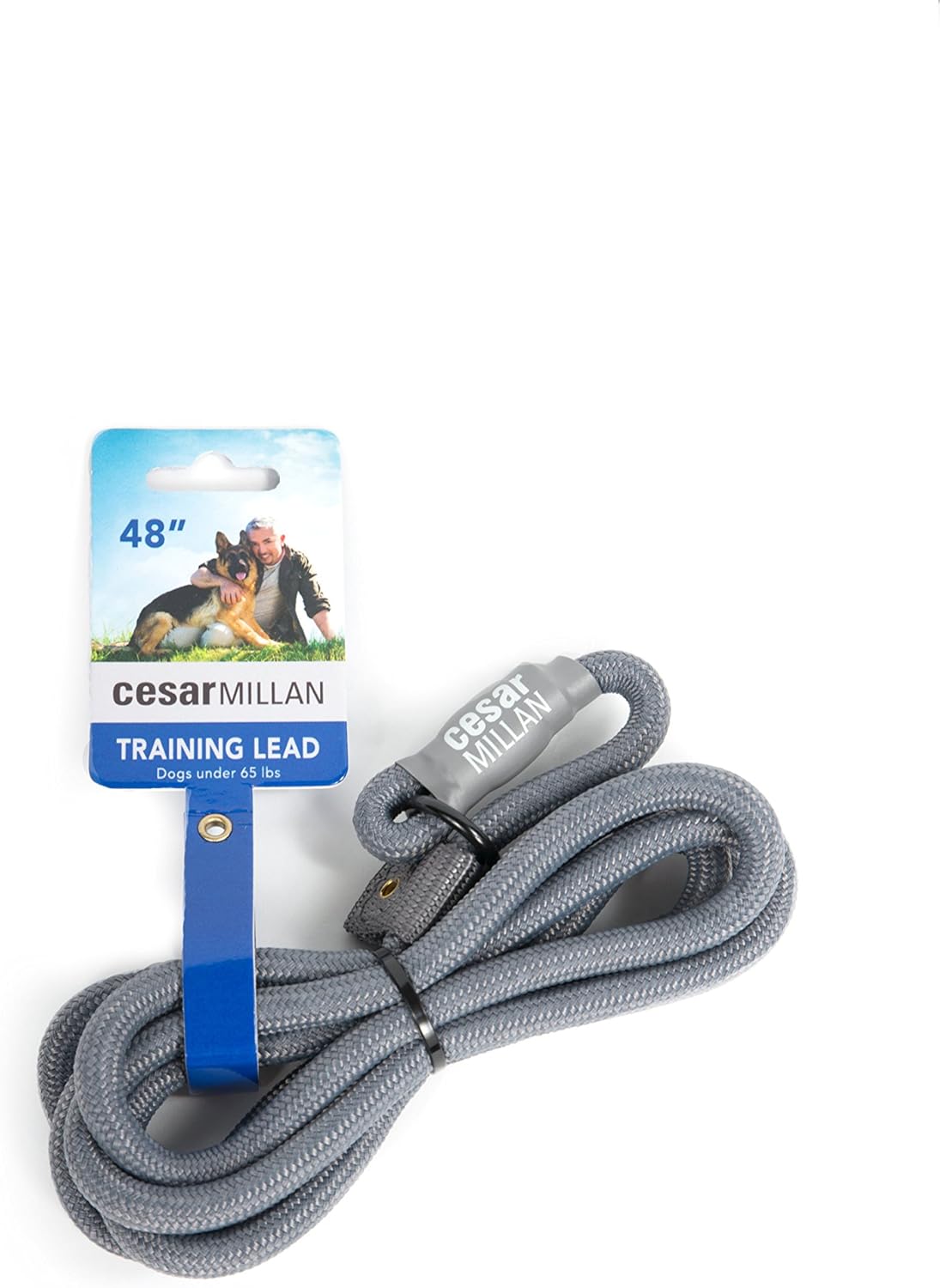 Cesar Millan Correa deslizante para perro, correa de entrenamiento (regular, gris)
