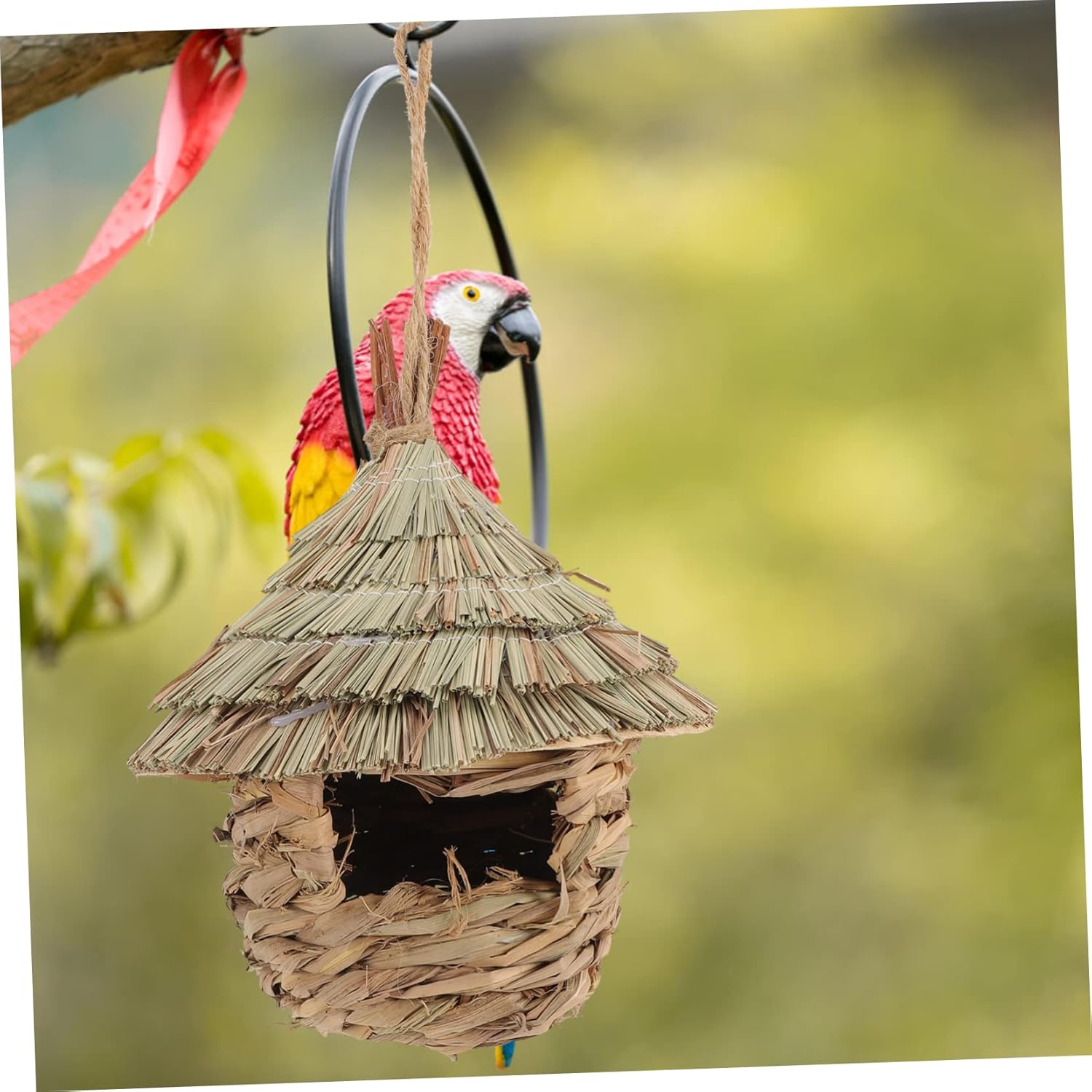 POPETPOP Piel de pájaro, casa de ardilla, jaula de palomas, accesorios para hámster, casas de colibríes, jaulas colgantes para pájaros, casa de