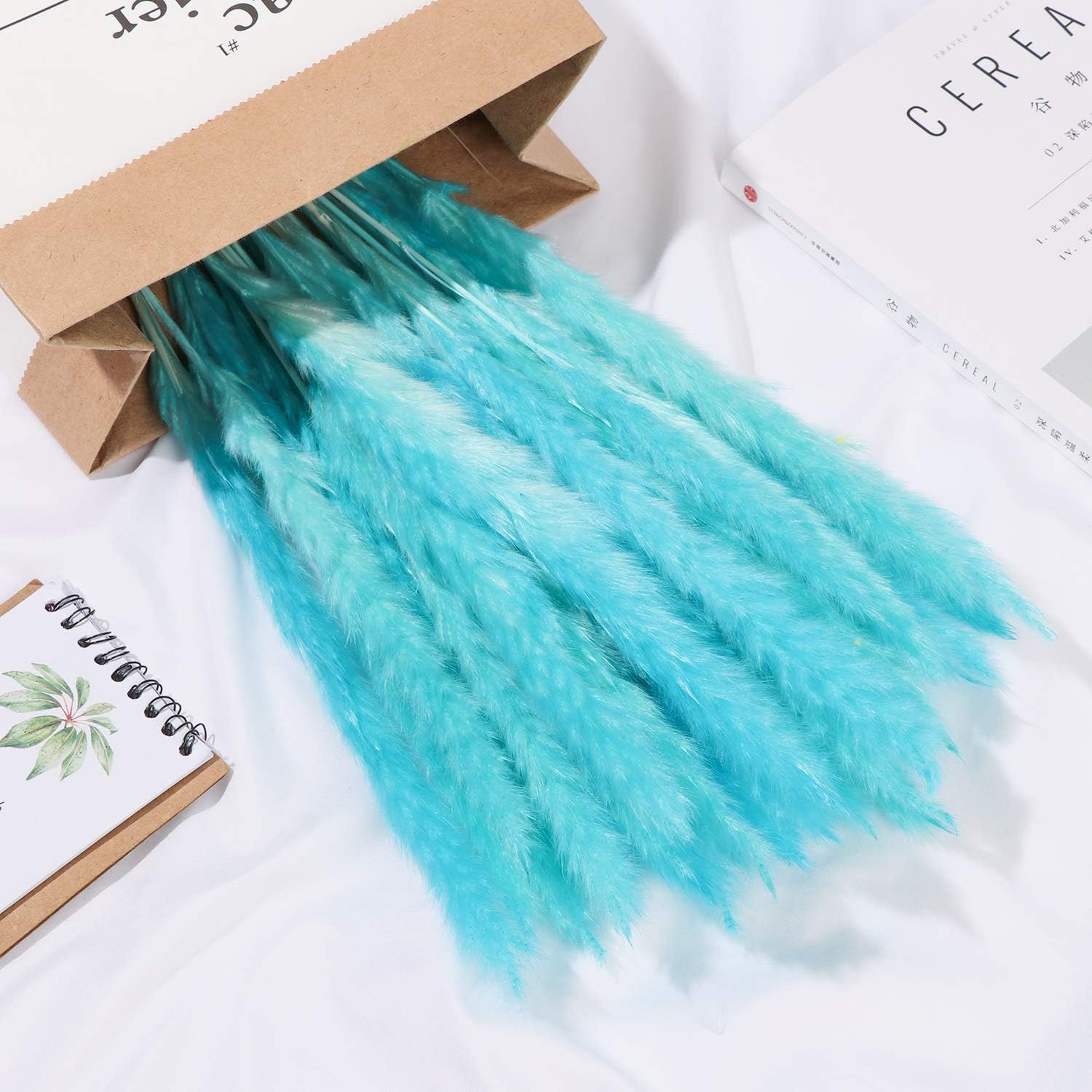 30 ramos de hierba de las pampas seca natural de 17 pulgadas, planta de pampa seca esponjosa con caja, flores de boda, torpe, decoraciones bohemias