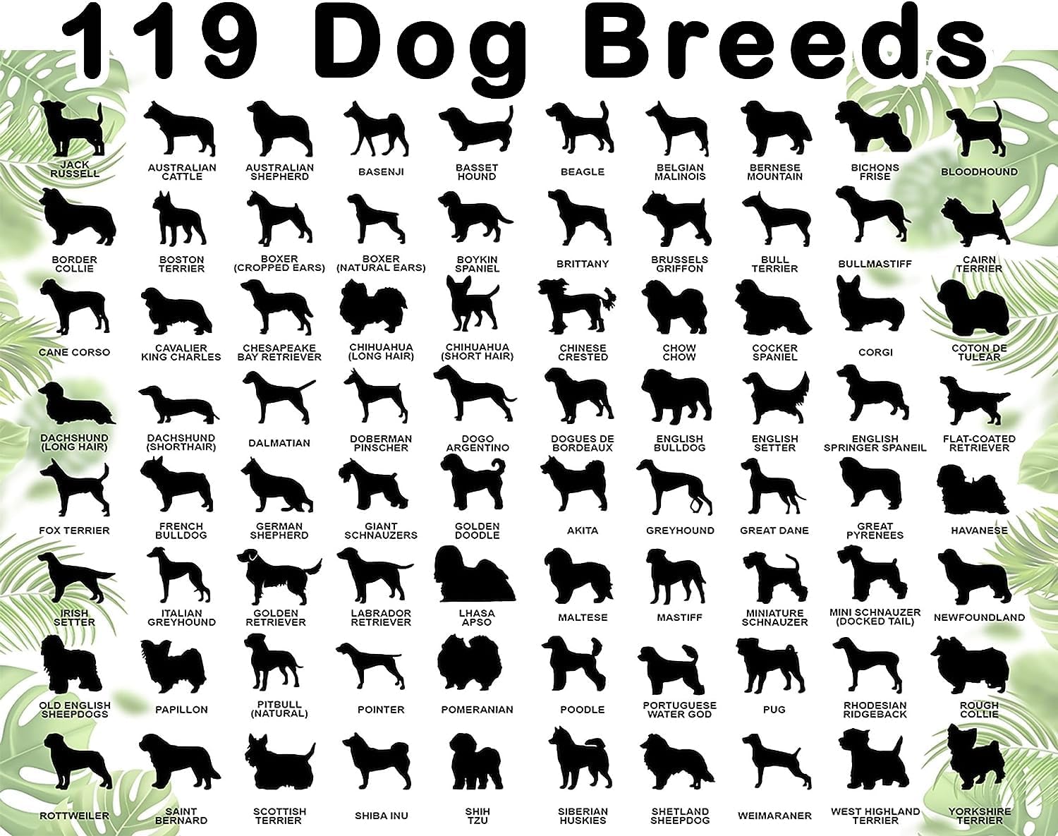 Regalos conmemorativos personalizados para perros Border Collie, adorno personalizado de Border Collie, árbol de Navidad, regalo de recuerdo de