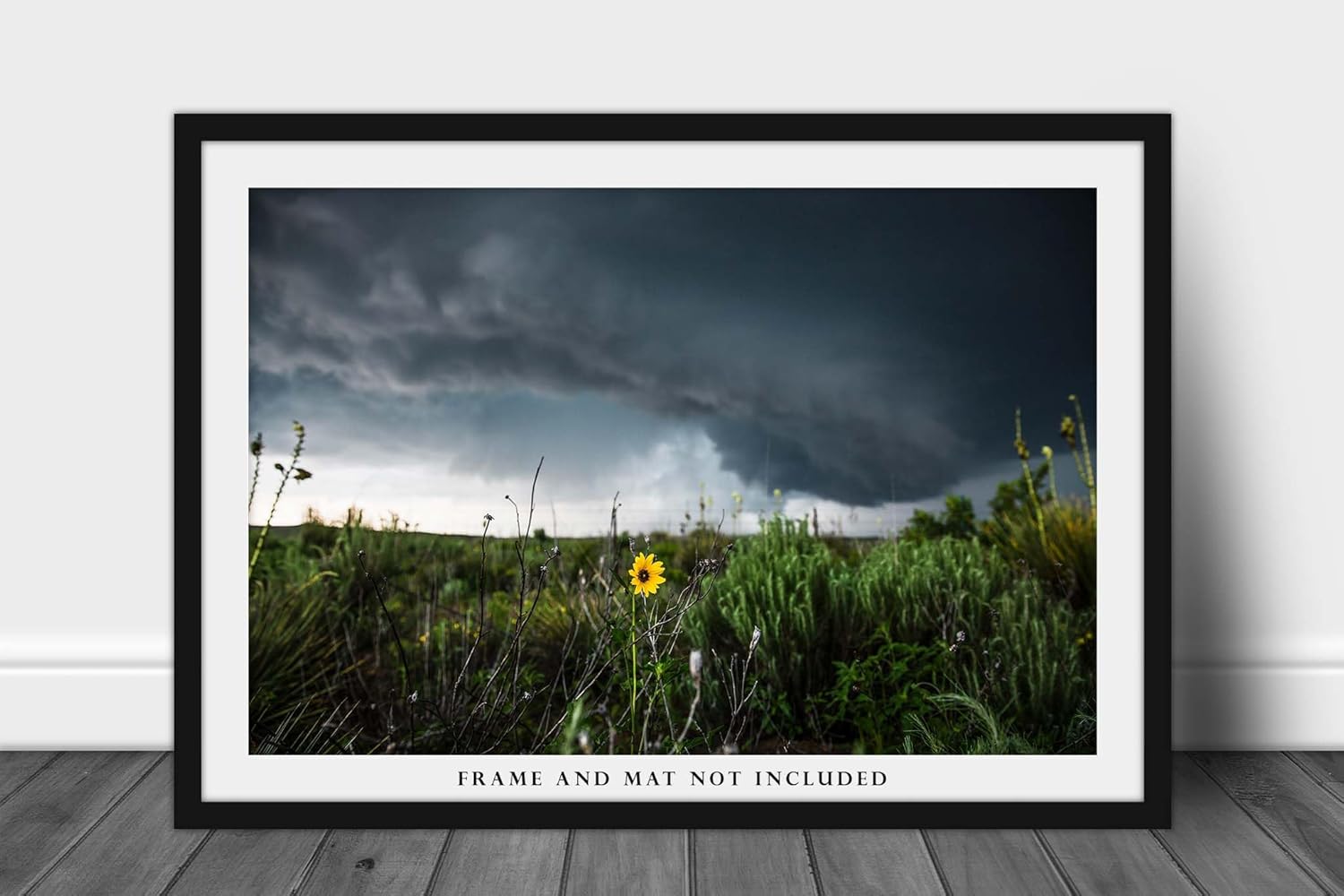 Storm Photography Print (Not Framed) Picture of Thunderstorm Passing Behind Wild Sunflower on Spring Day in Texas Flower Wall Art Nature Decor (8″ x