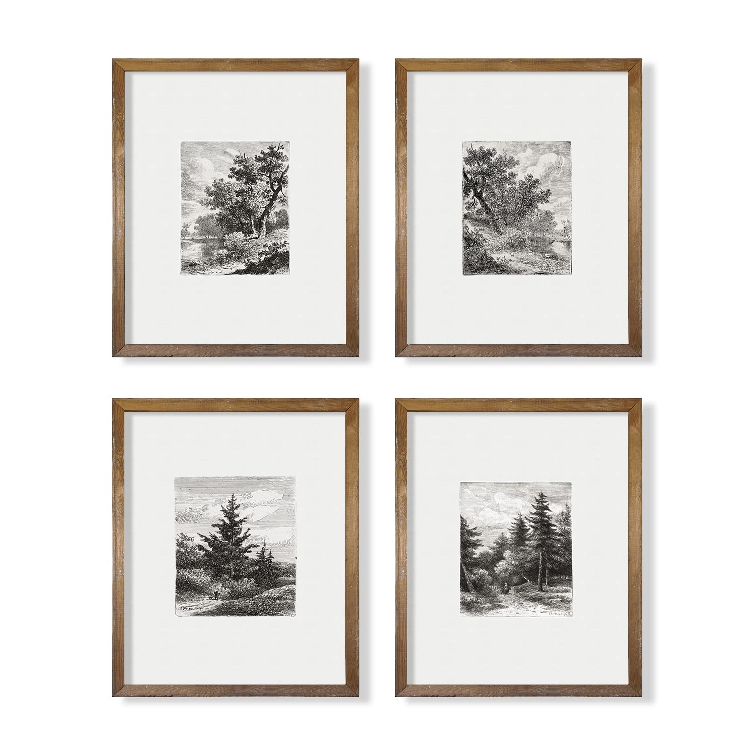 Tree Sketch Neutral Wall Art Picture Poster Print  Vintage Farmhouse Wall Art Decor  Boho French Country Kitchen Bathroom Bedroom  Woodland