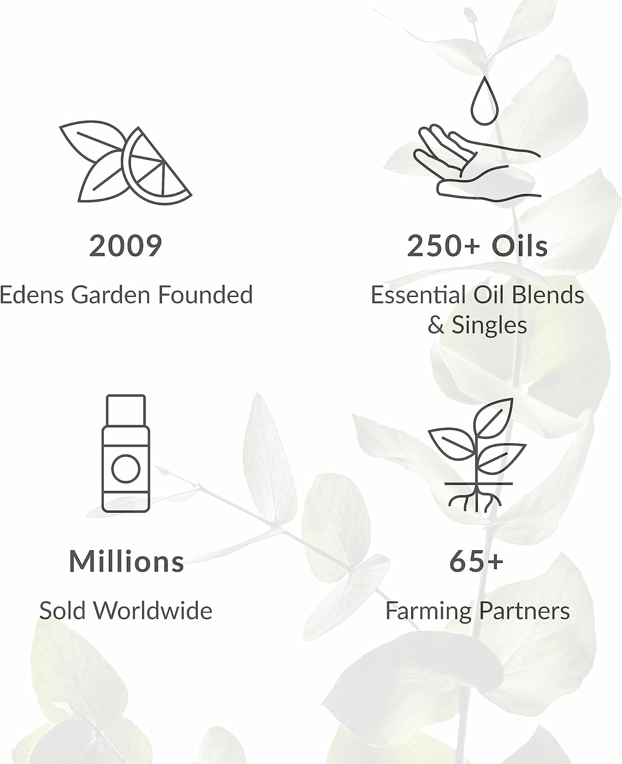 Edens Garden Mezcla de aceites esenciales para alivio de la tos y la congestión, 100% puro y natural, mezcla de aceites esenciales terapéuticos de