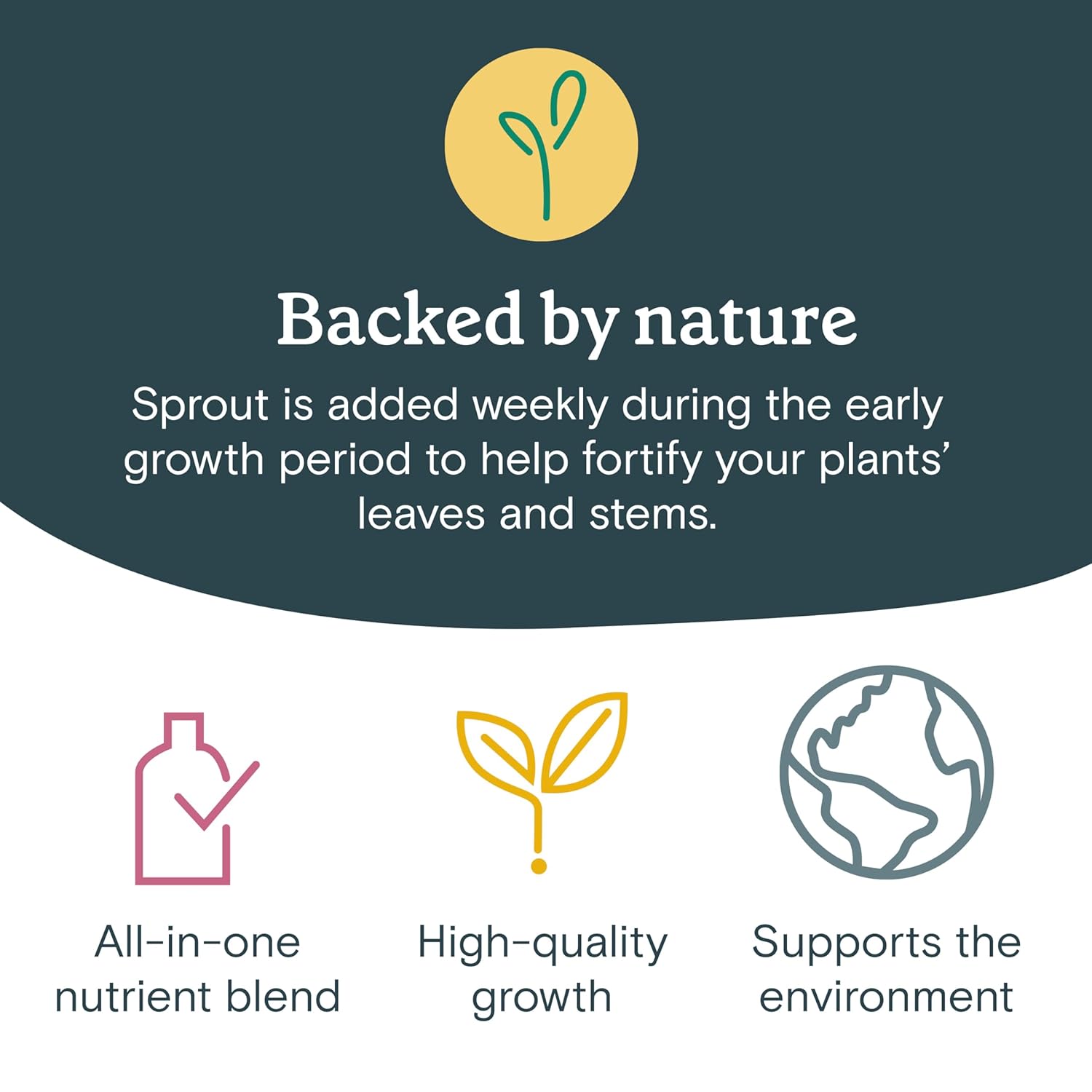 Rise Gardens Dry Sprout Nutrient  Nutrientes hidropónicos y alimentos vegetales para el crecimiento de plantas de interior, nutrientes secos, 1.06 oz
