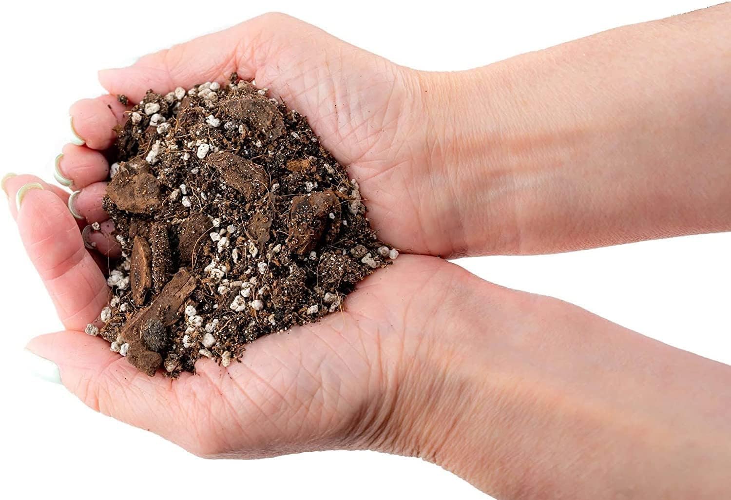 Gardenera Mezcla orgánica de tierra de plátano  1 cuarto de galón  Mezcla rica en nutrientes para un crecimiento robusto y plátanos dulces y jugosos